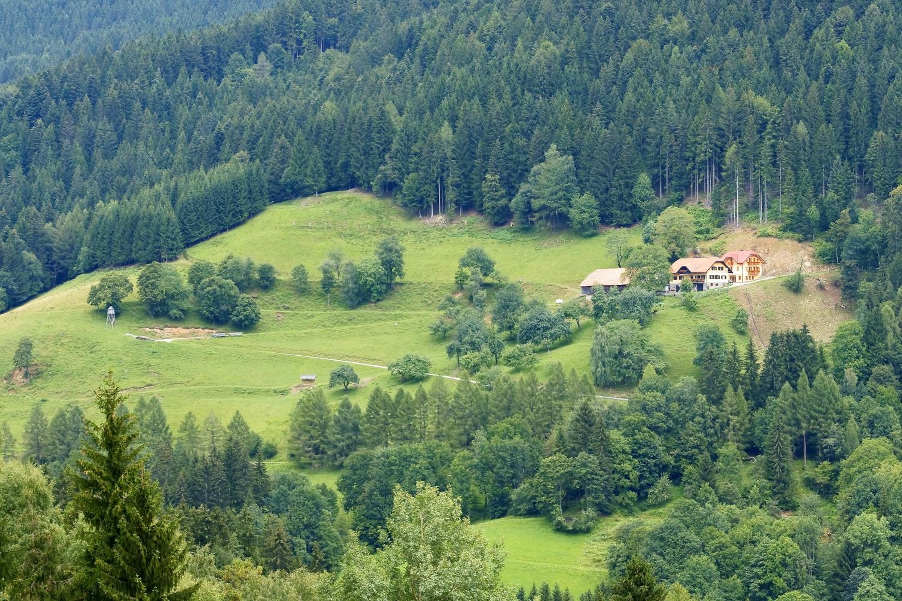 Tourist Farm Arbajter view 3