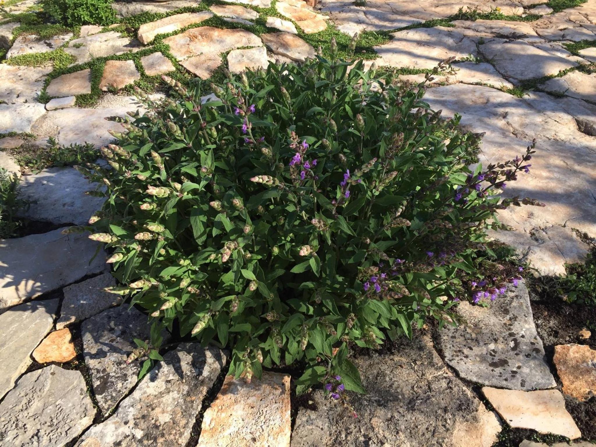 Photo 16