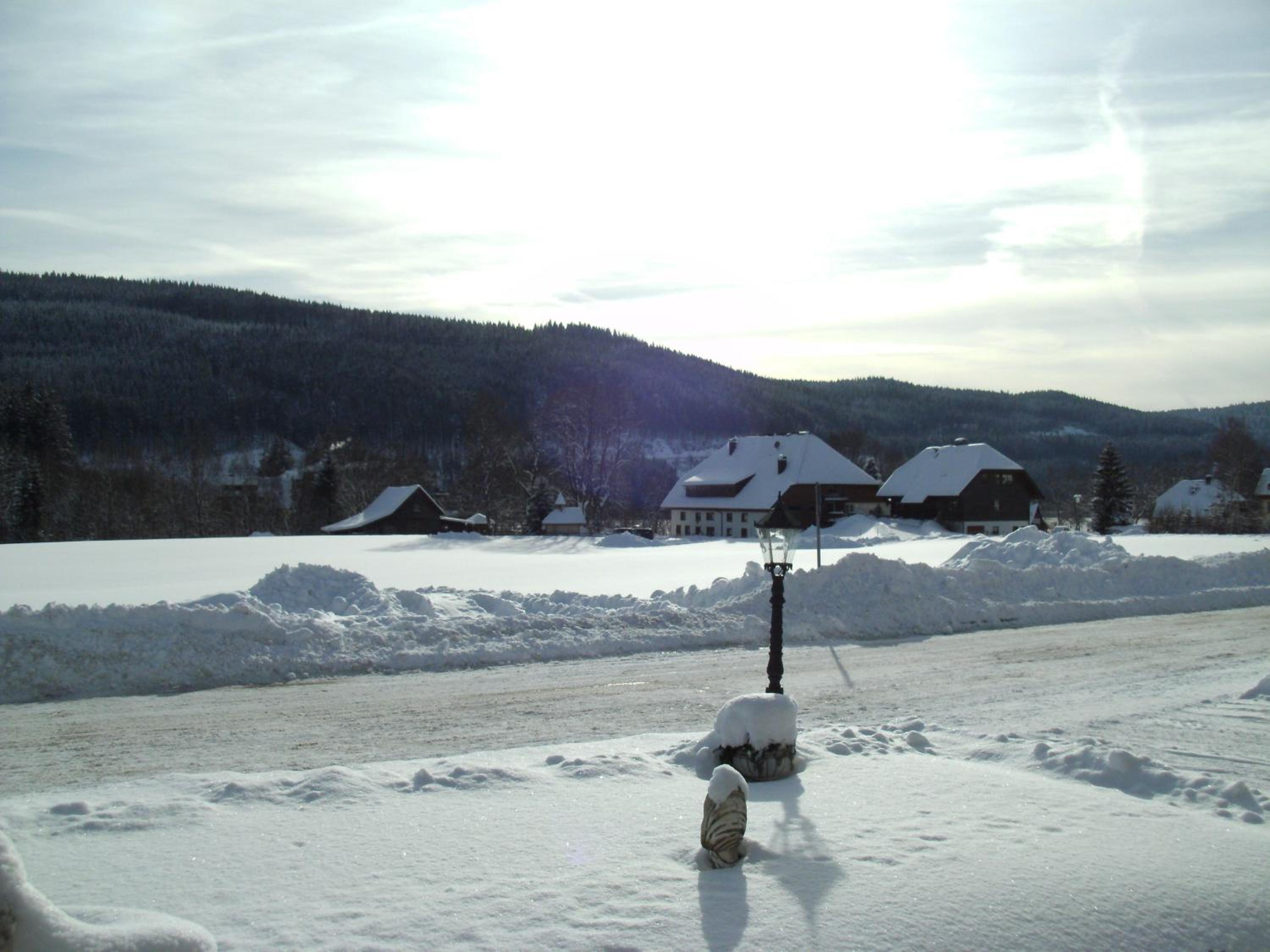 Hotel Rheingold Garni