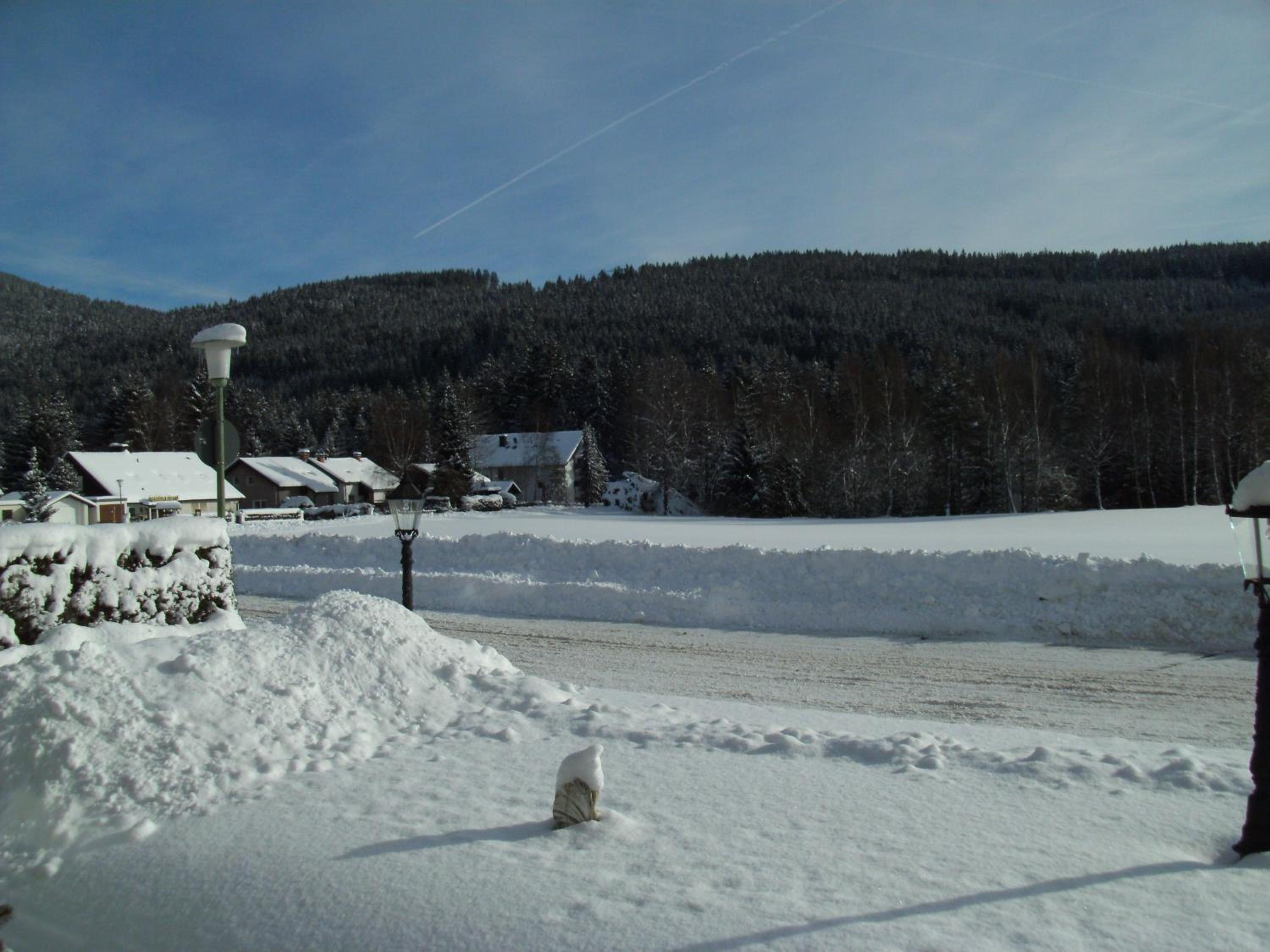 Hotel Rheingold Garni