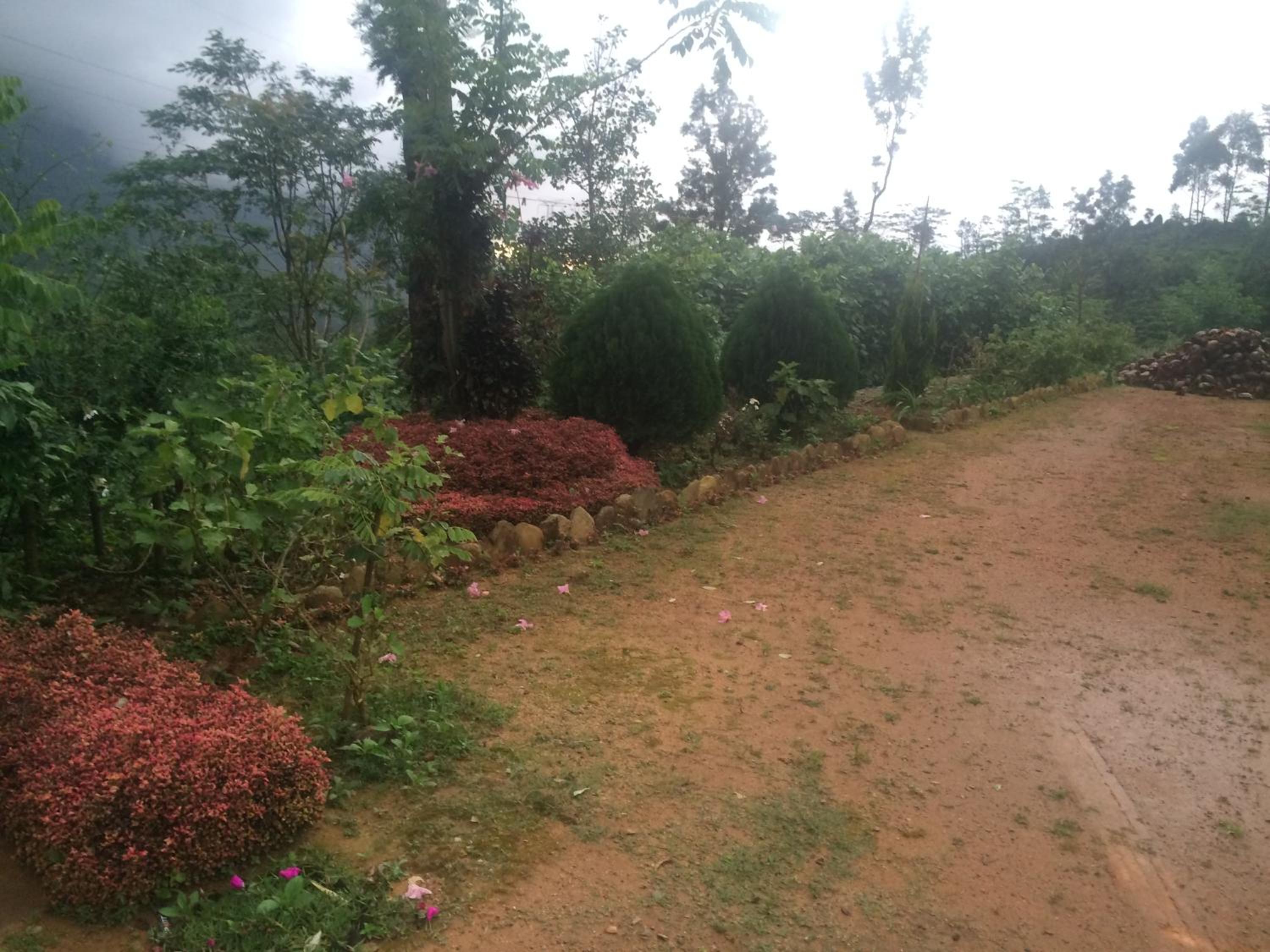 Laxapana Wilderness Homestay