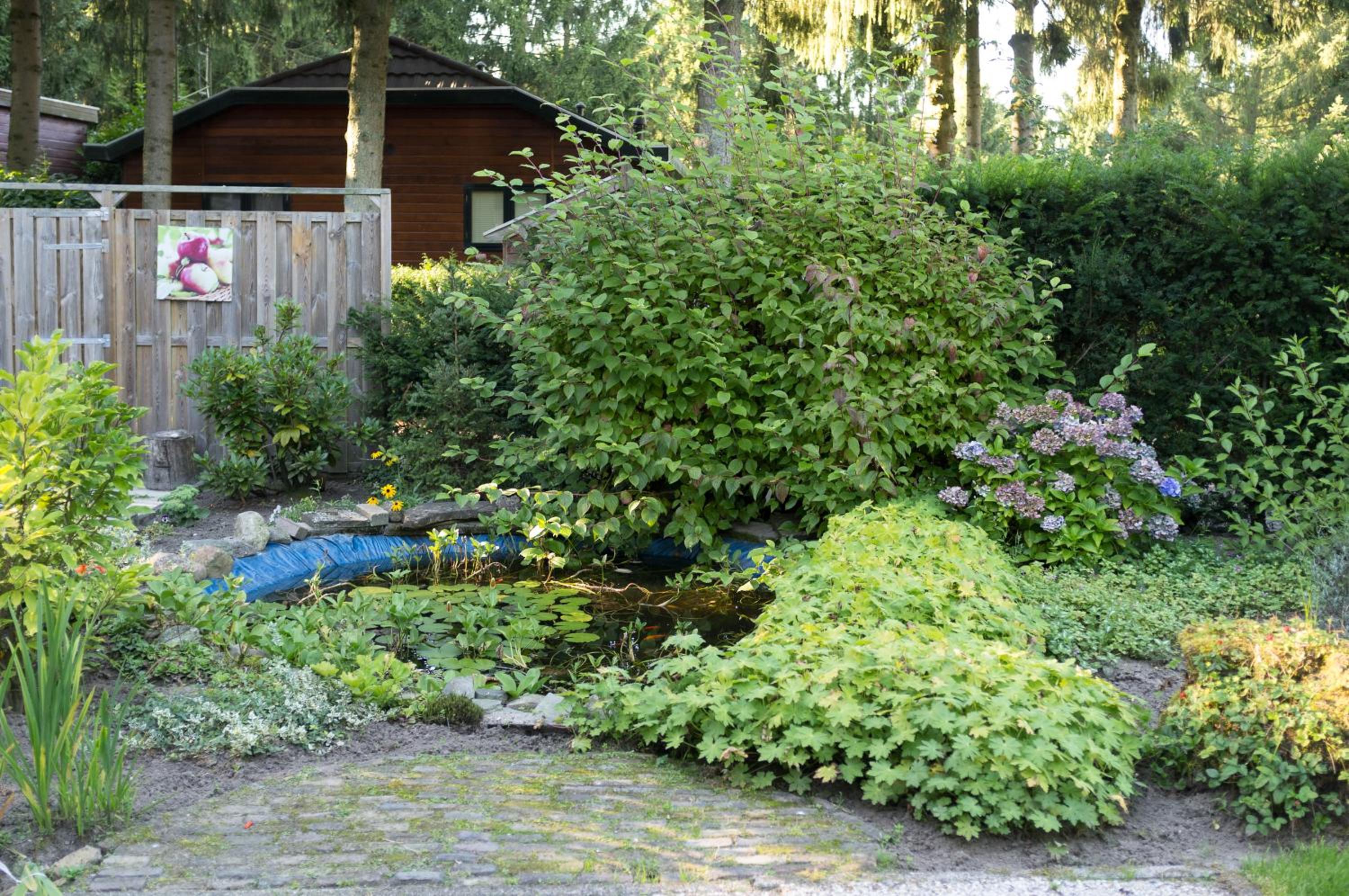 Photo 47