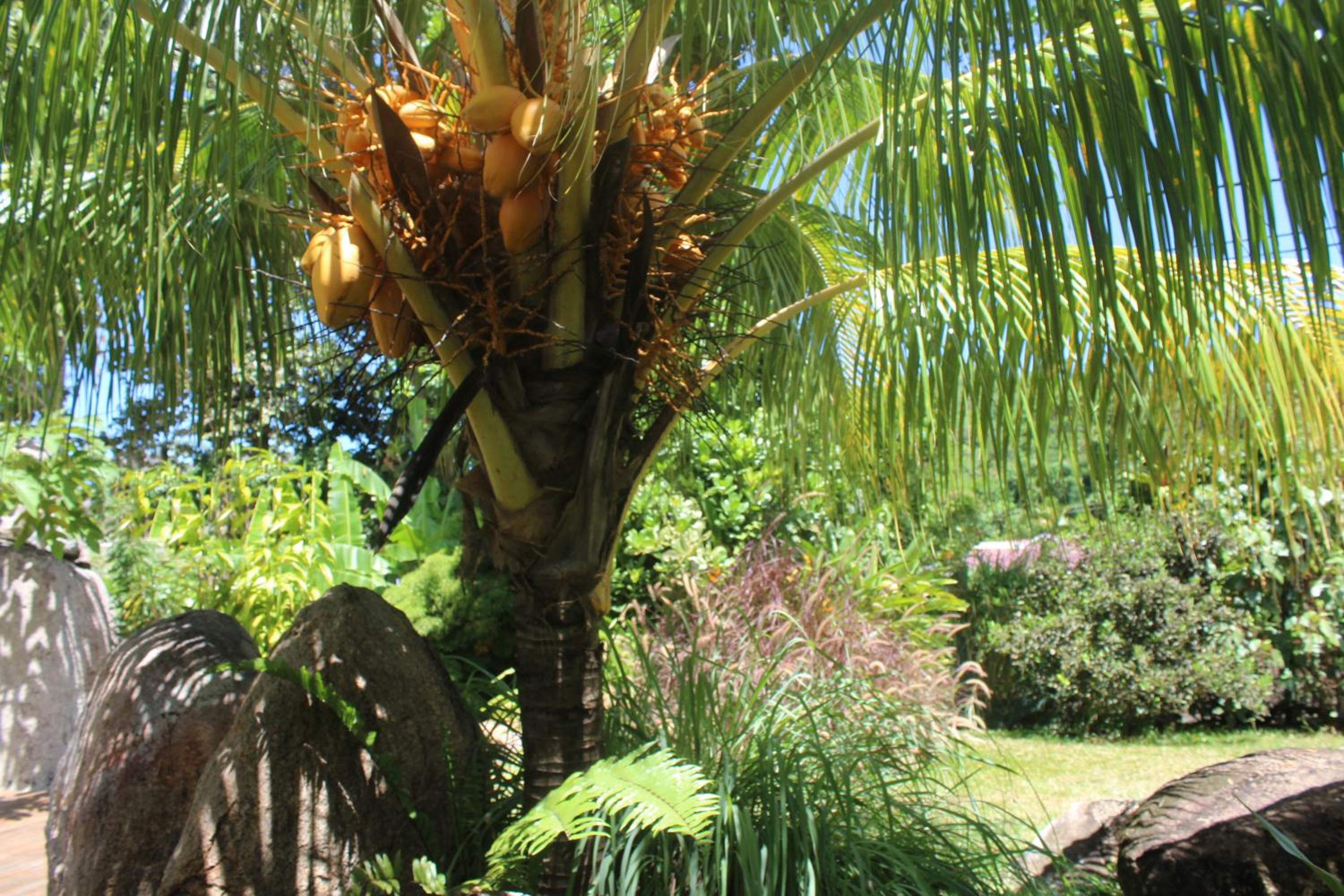 Villa Kordia, photo 41