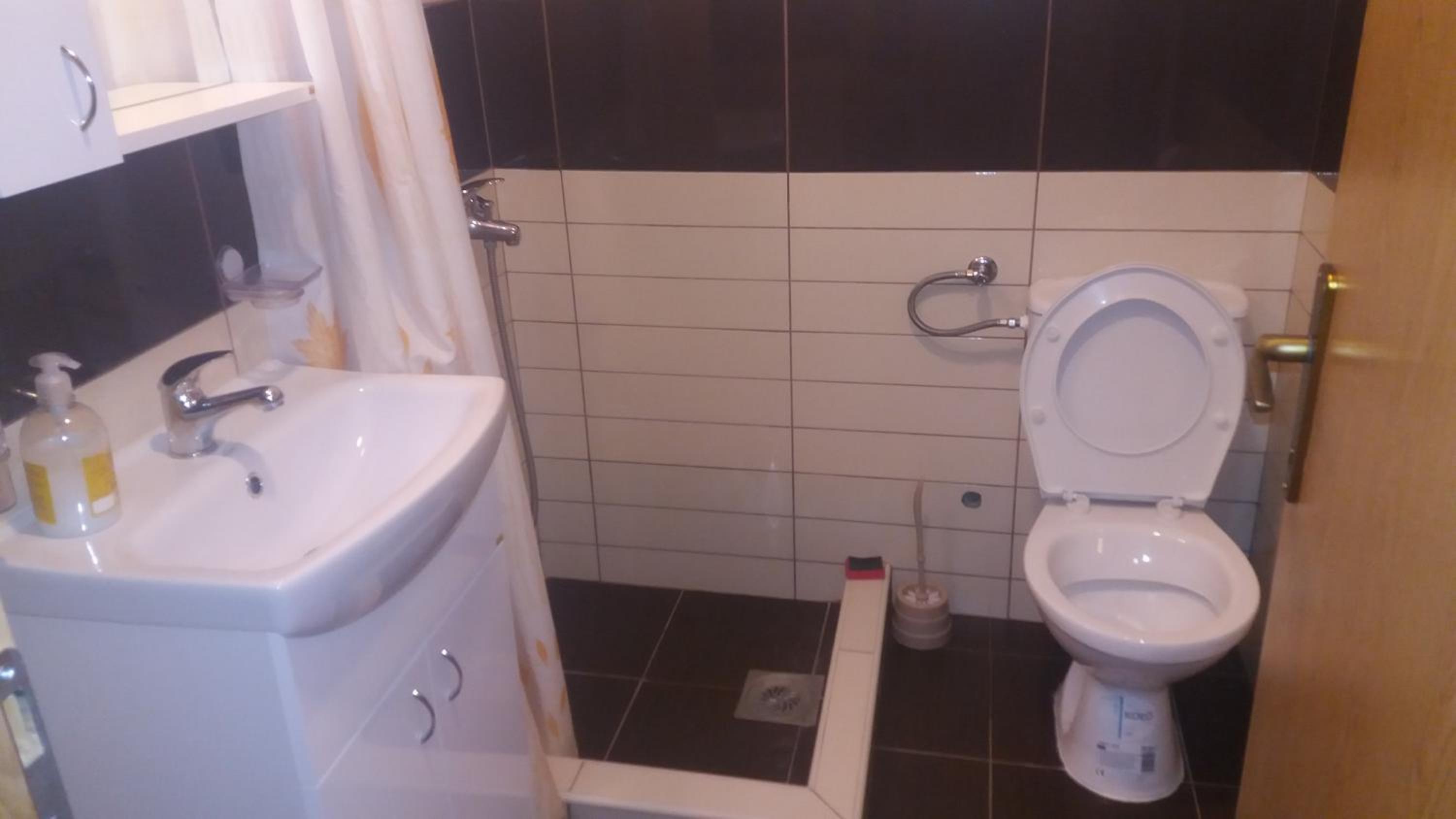 Apartmani Aleksijević Zlatibor view 5