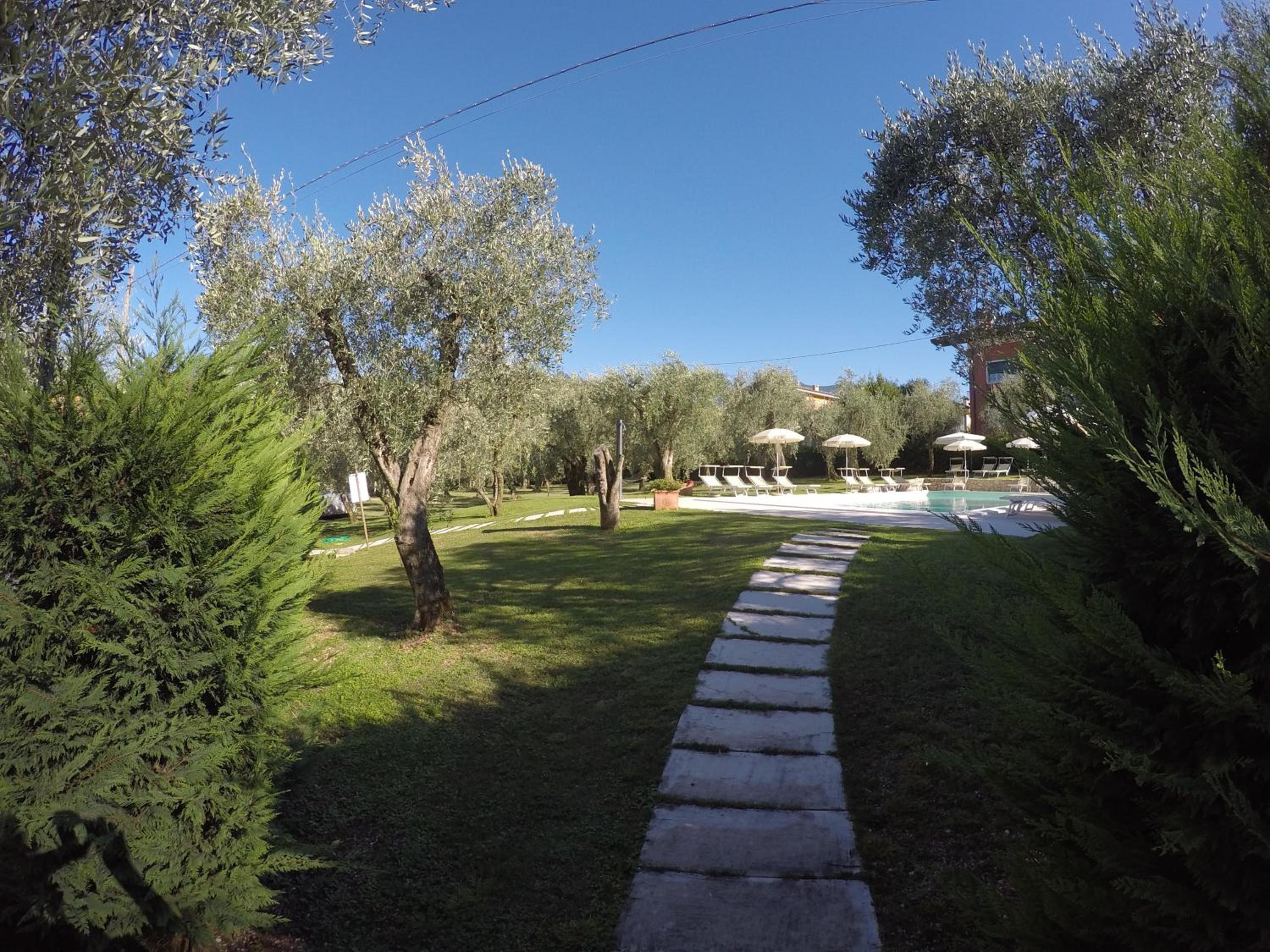 Photo 21