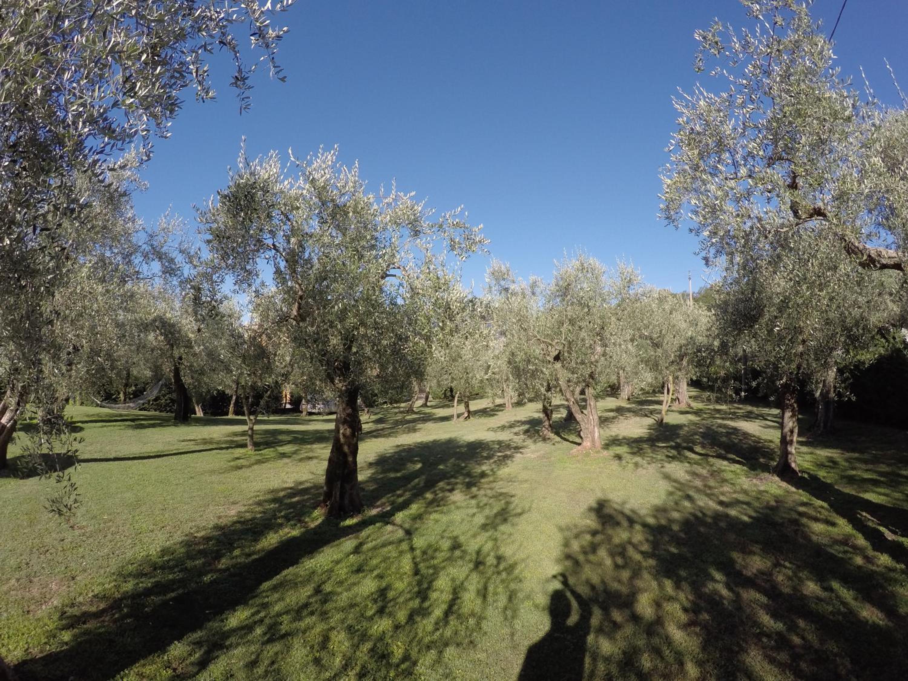 Photo 22
