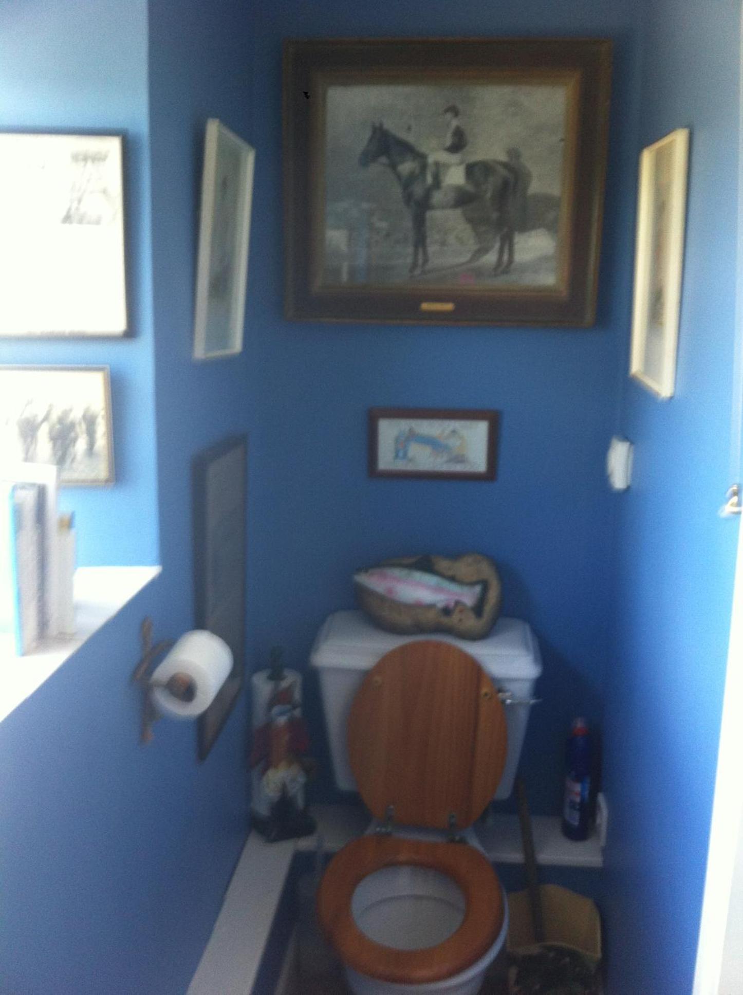 Photo 31