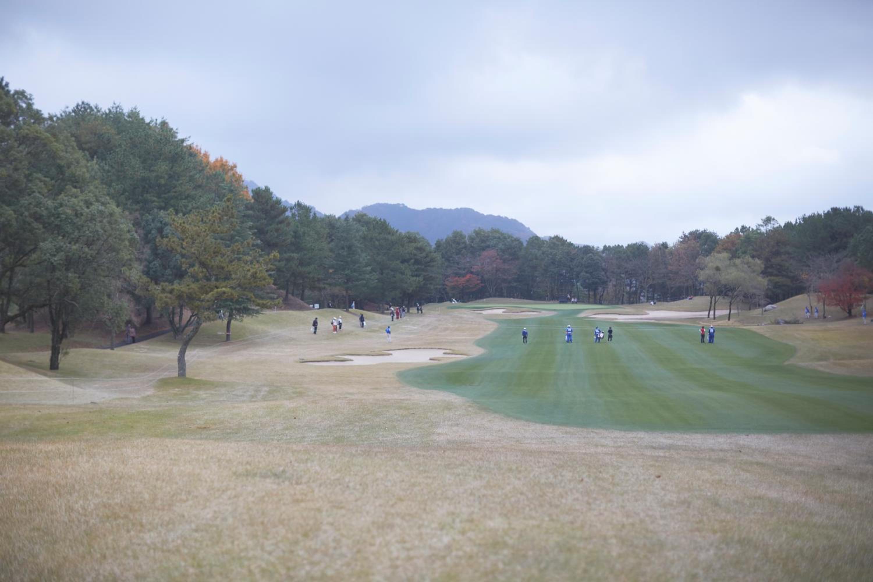 SETOUCHI RETREAT by Onko Chishin