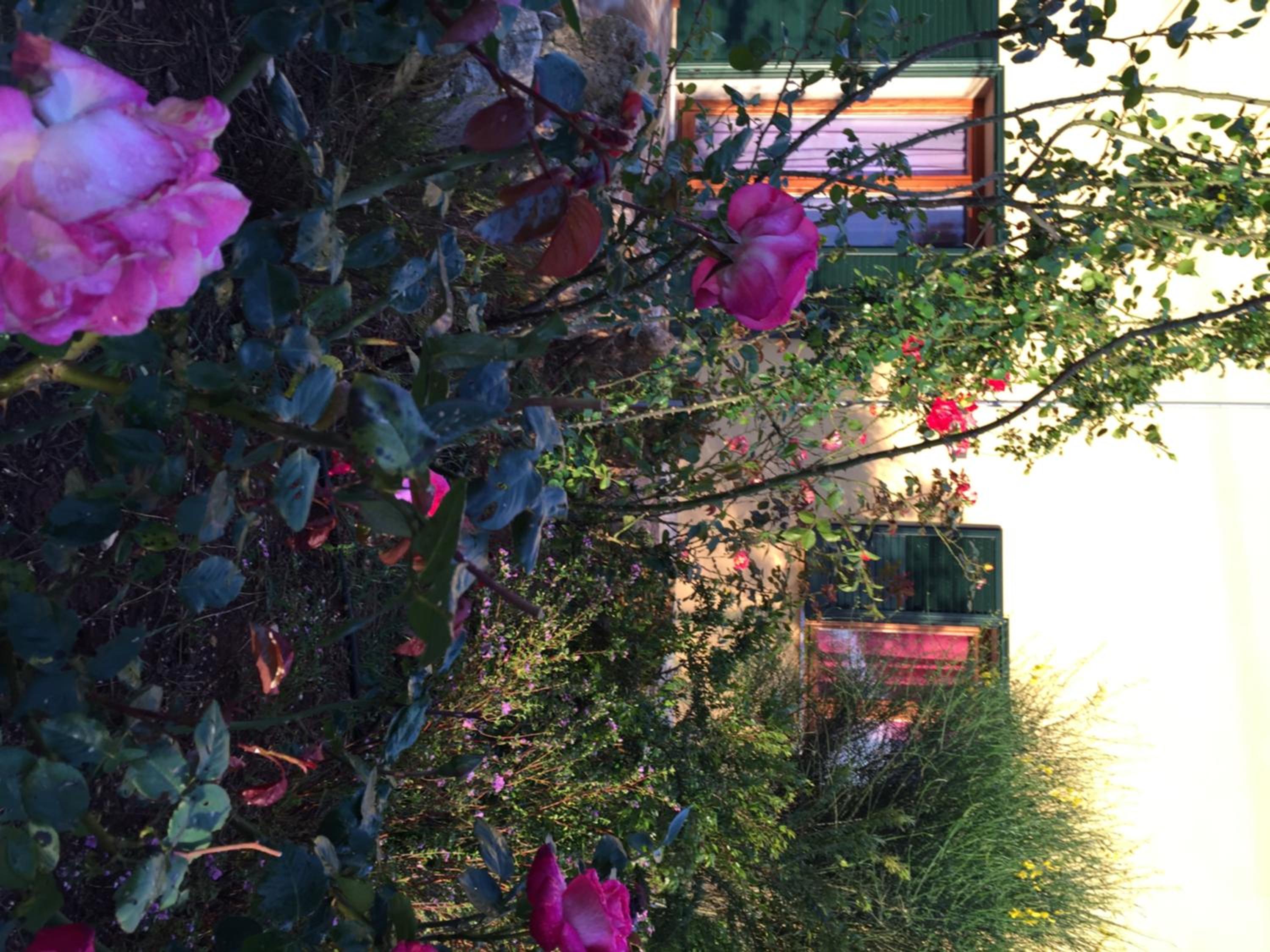 Agriturismo Mele