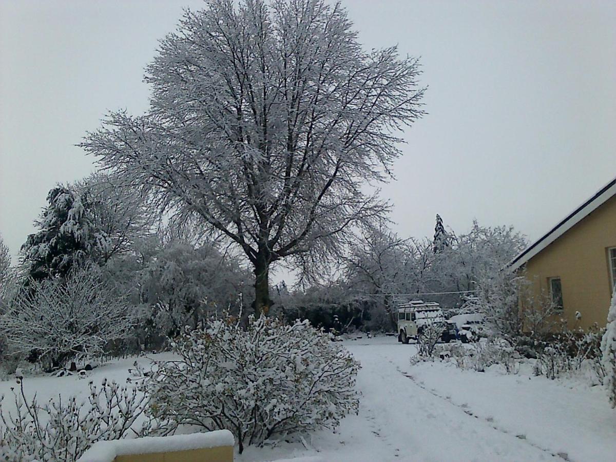 Photo 46