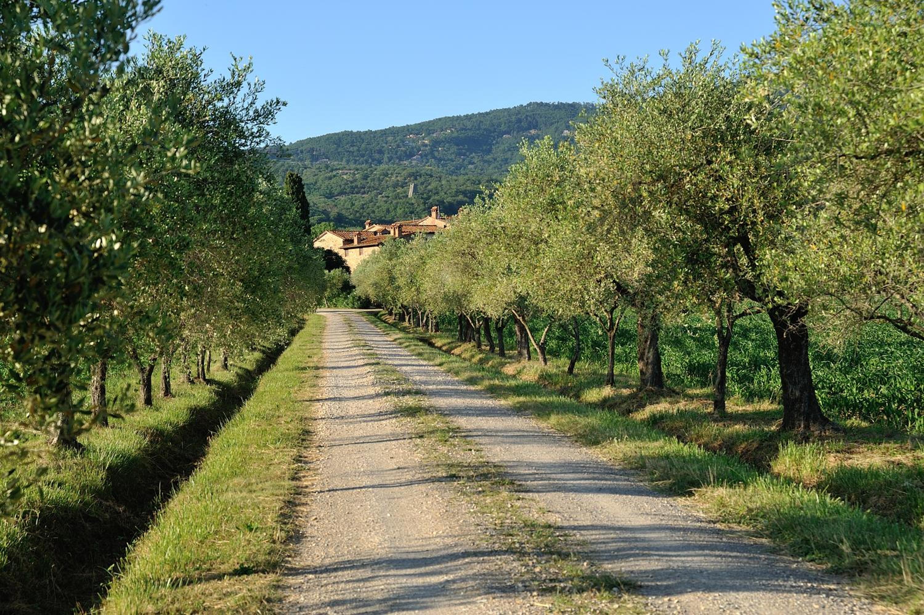La Fattoria del Rio di Sopra - Agriturismo Baldeschi