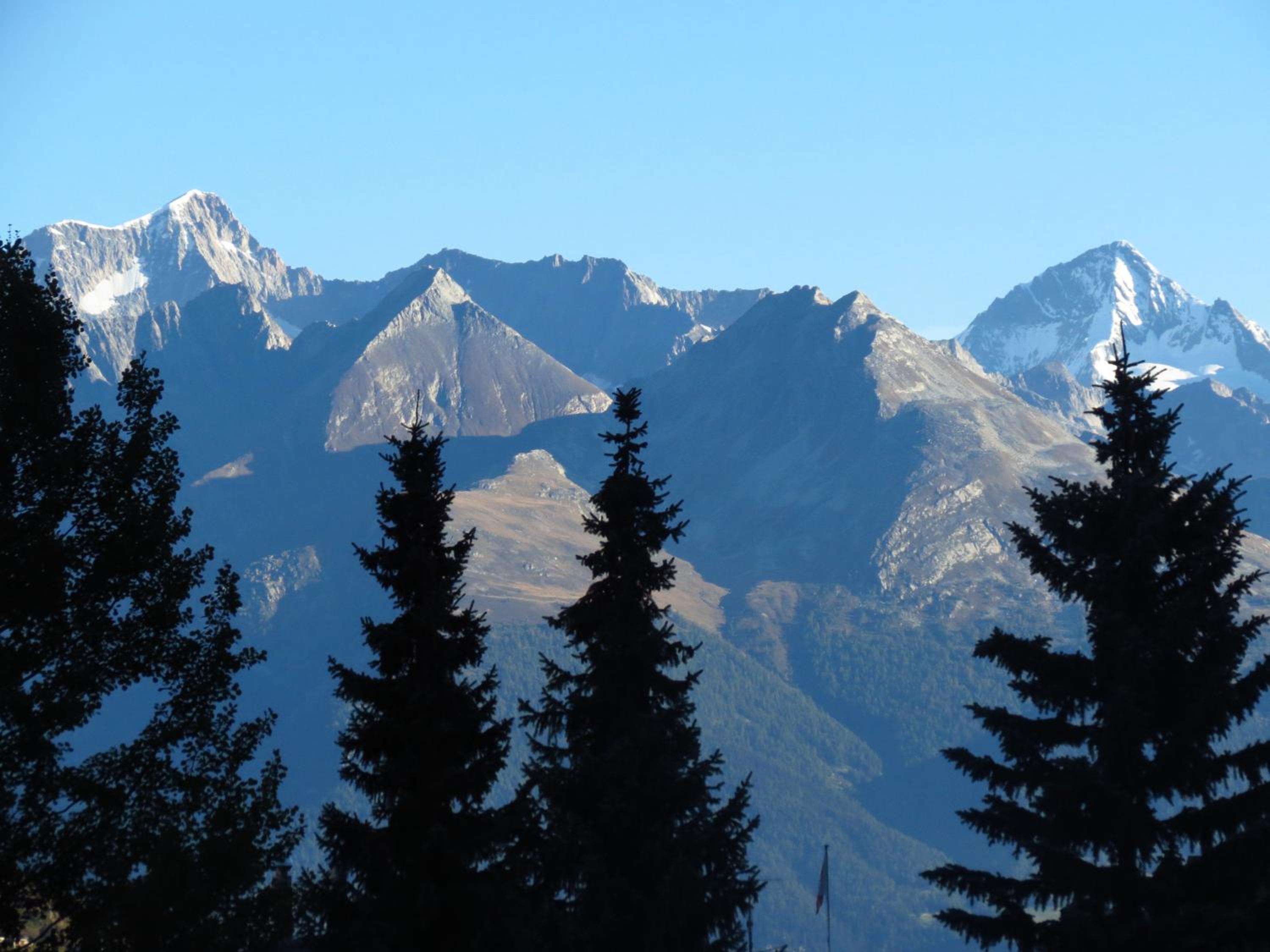 Chalet Safran