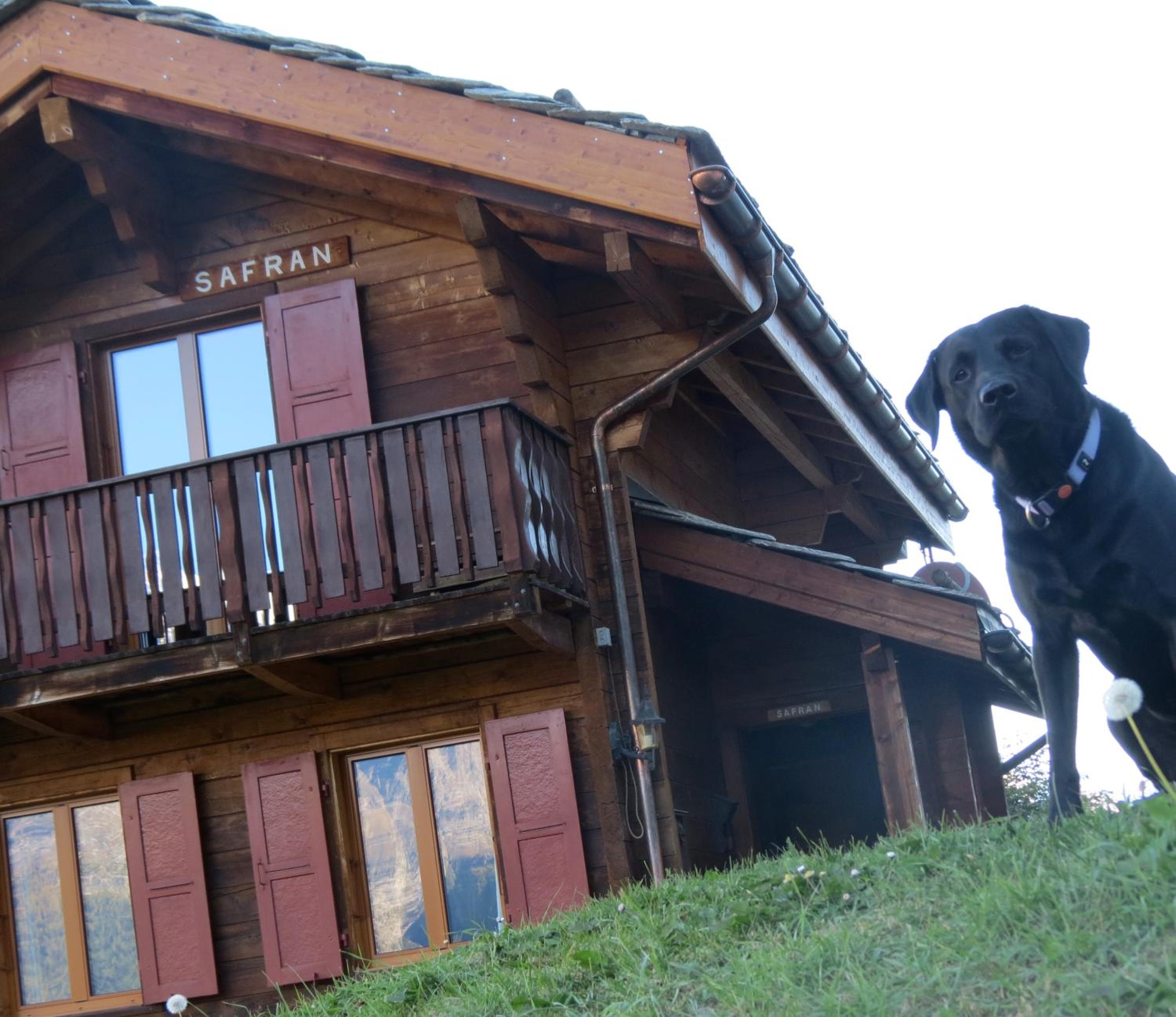 Chalet Safran
