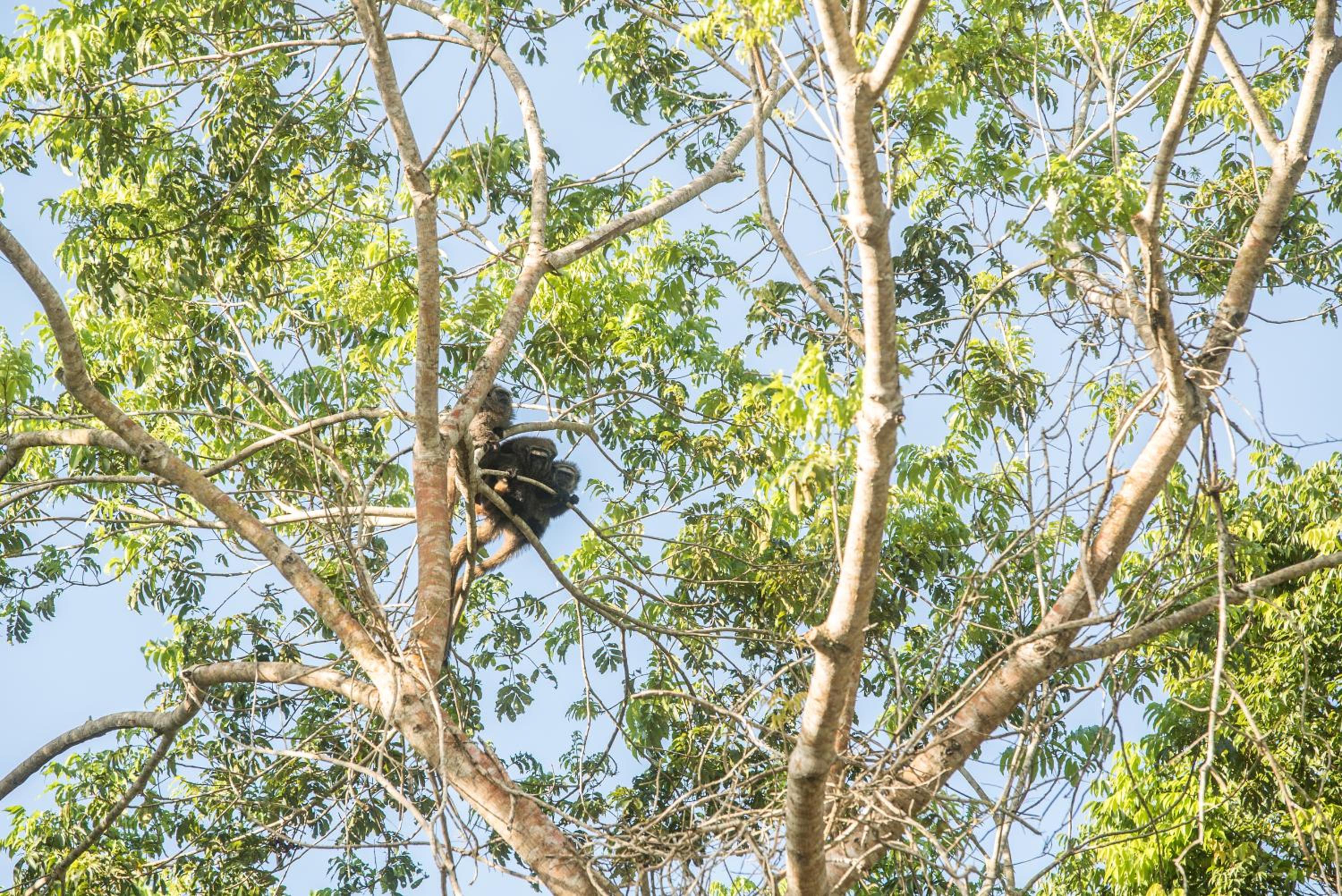 Pousada Vila Flor da Mata