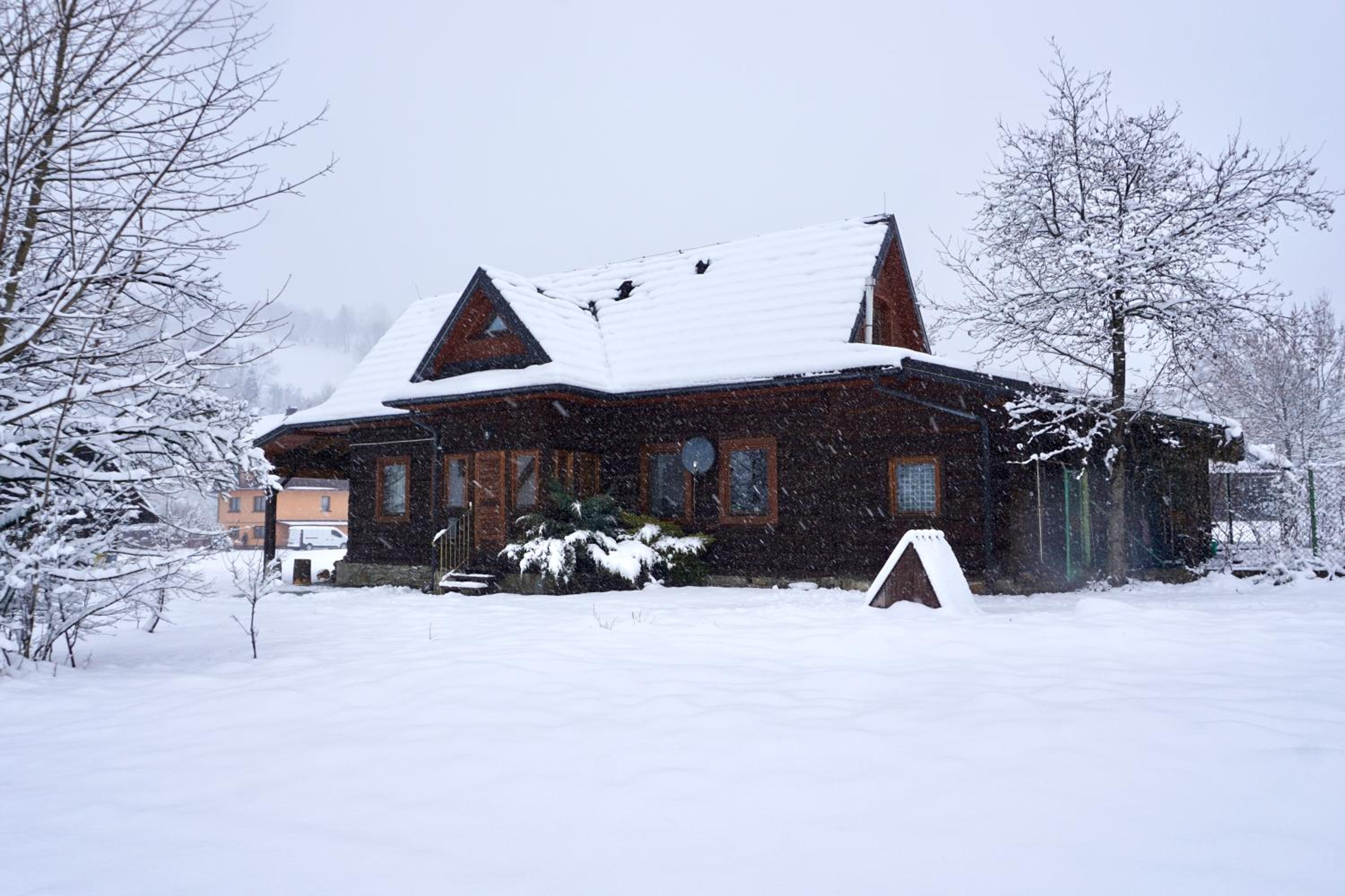 Photo 41