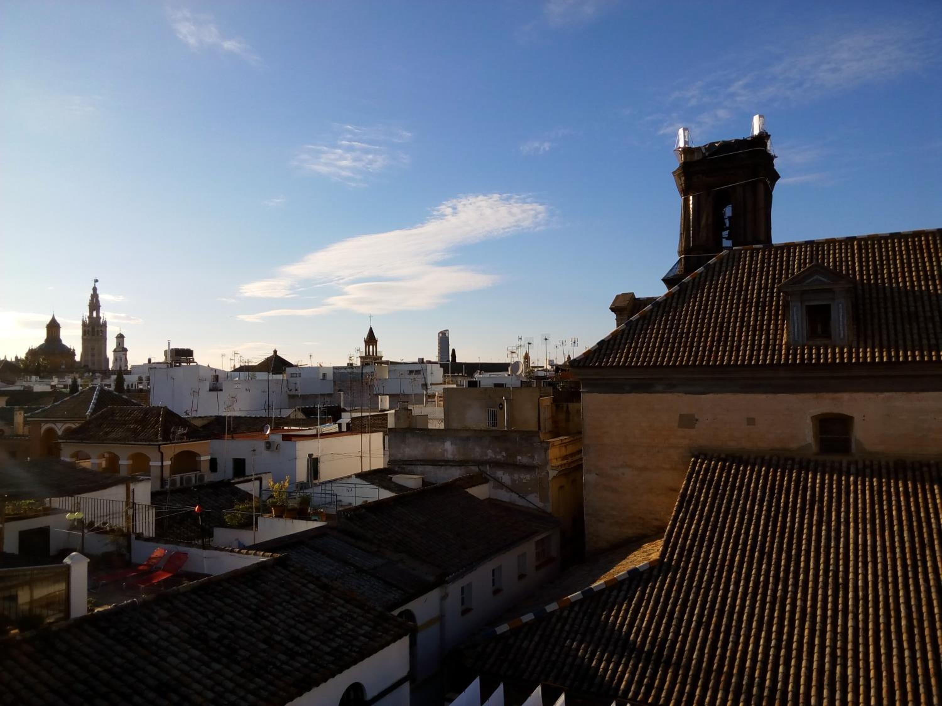 roof