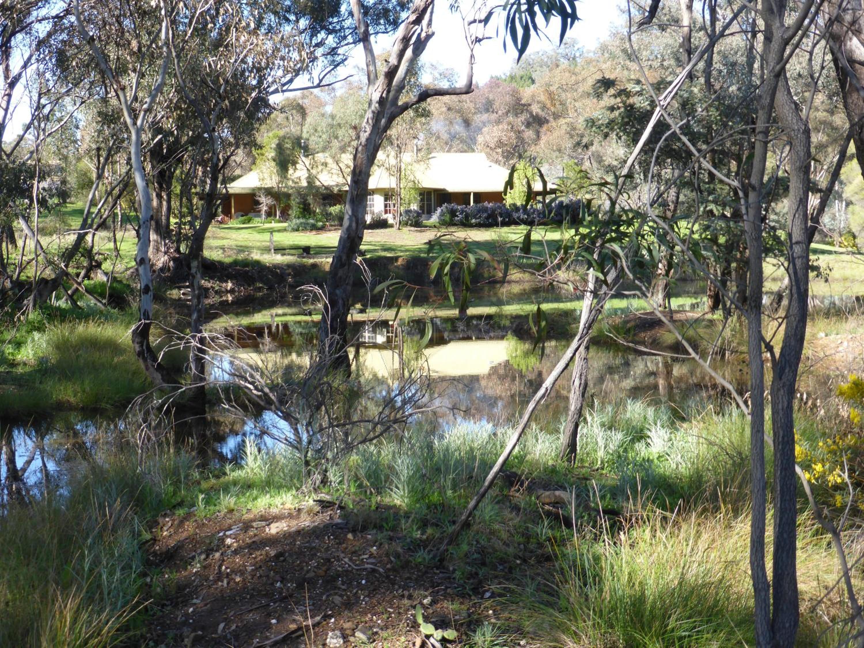 Wildwood Guesthouse
