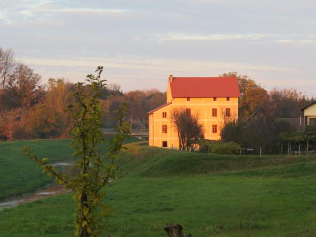 Photo 44