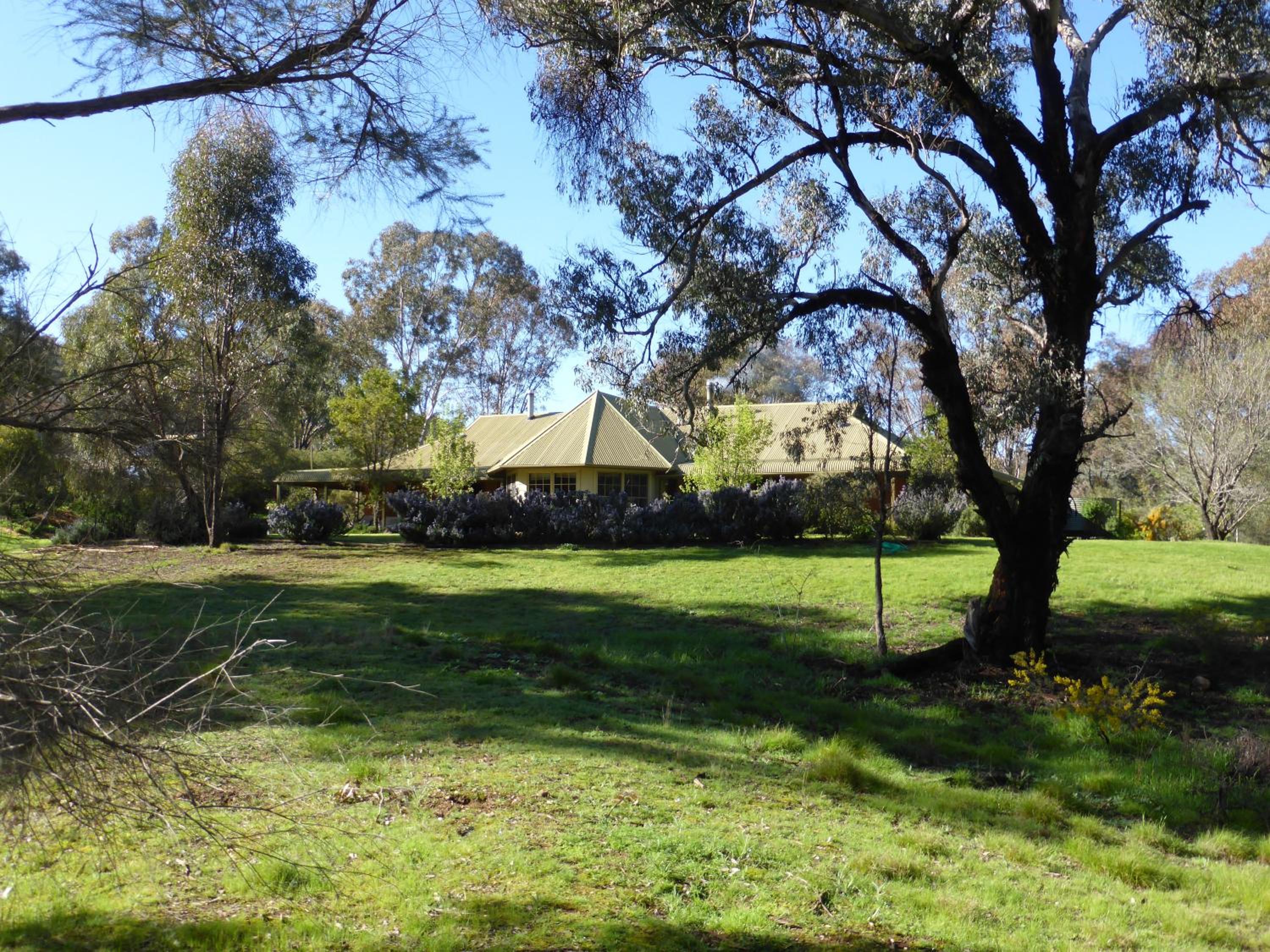 Wildwood Guesthouse