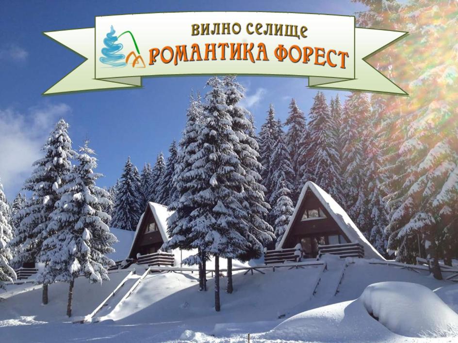 Romantica Forest Guest House