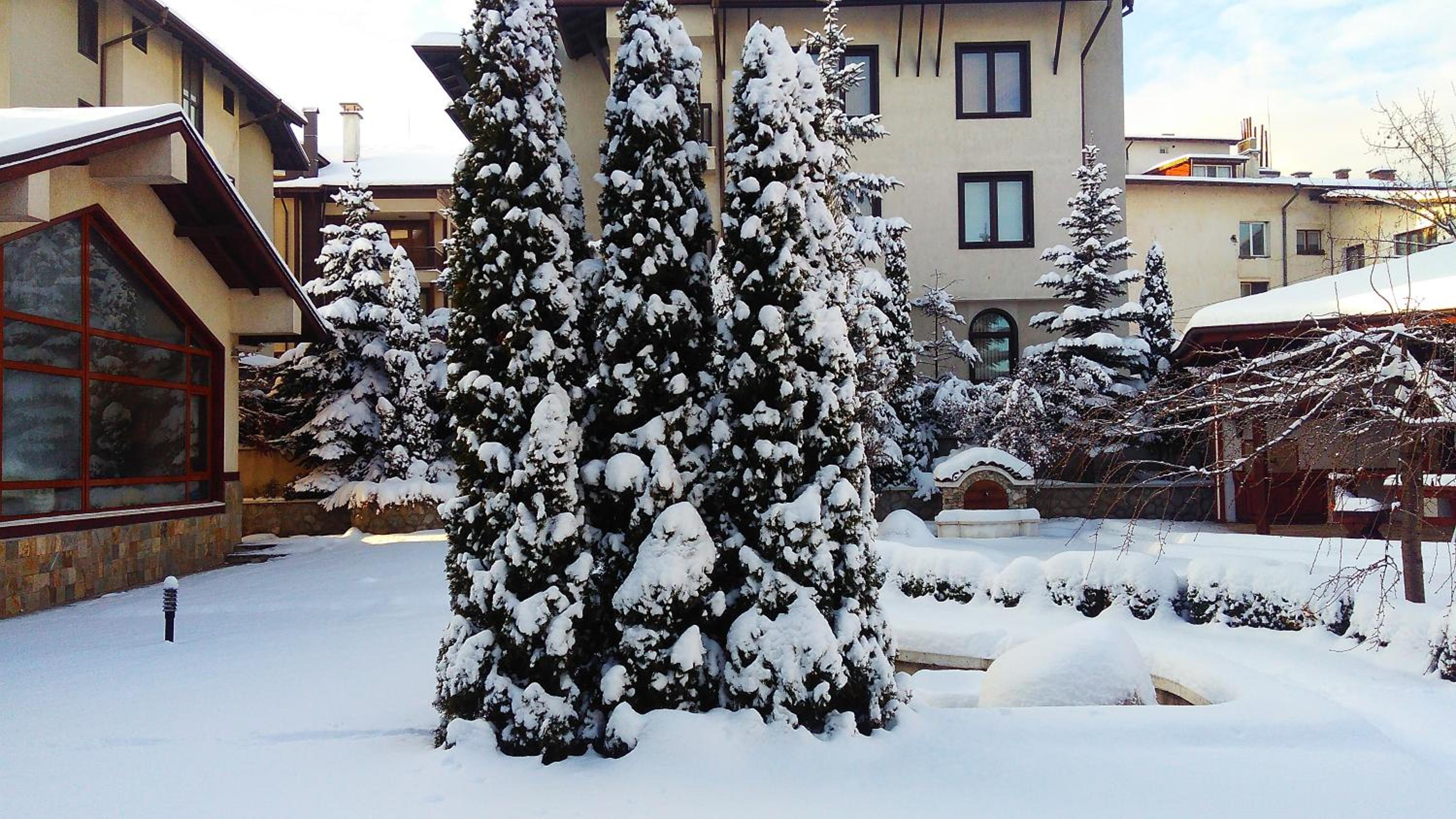 Bansko Vacations - Evelina Palace Hotel - Property Image 5
