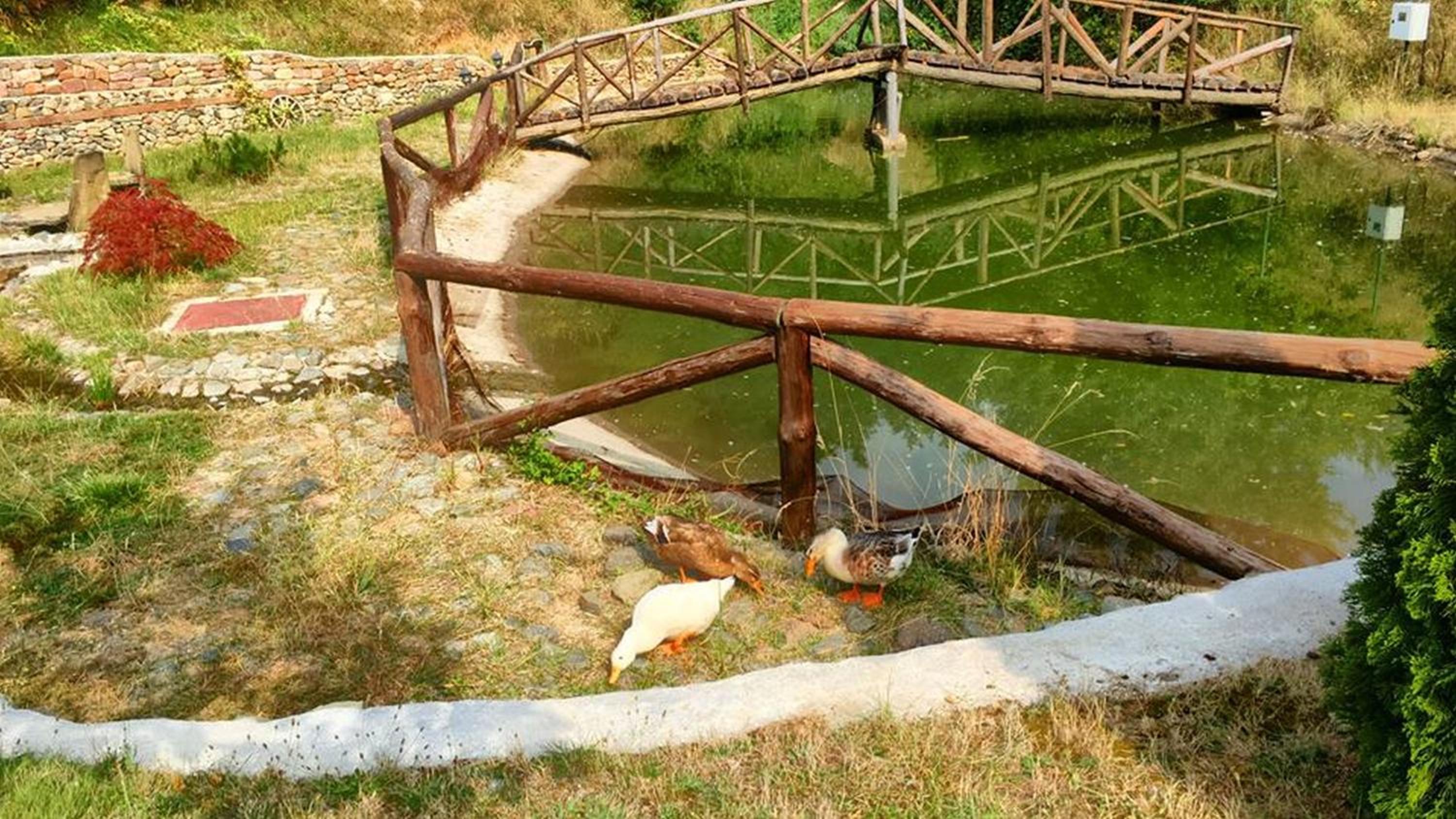 Villa Mark