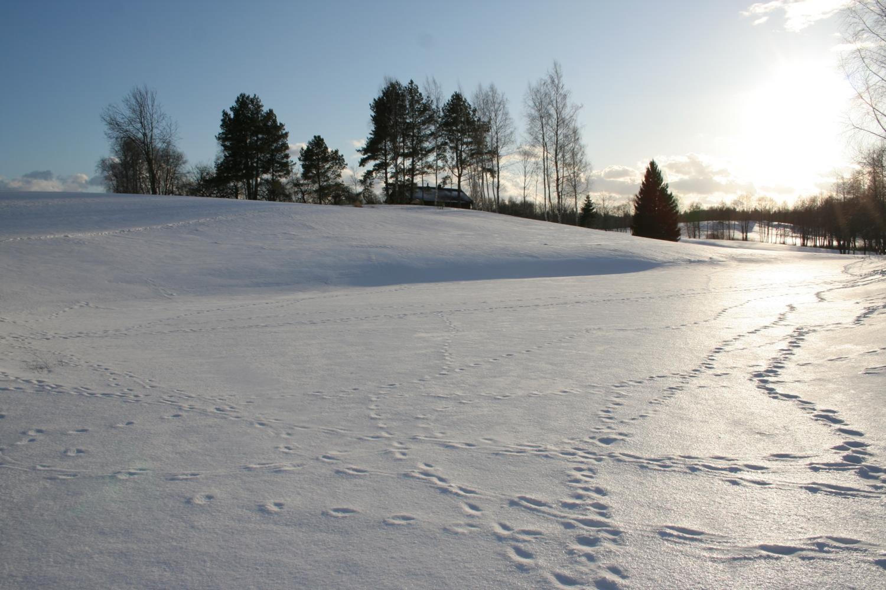 Photo 40