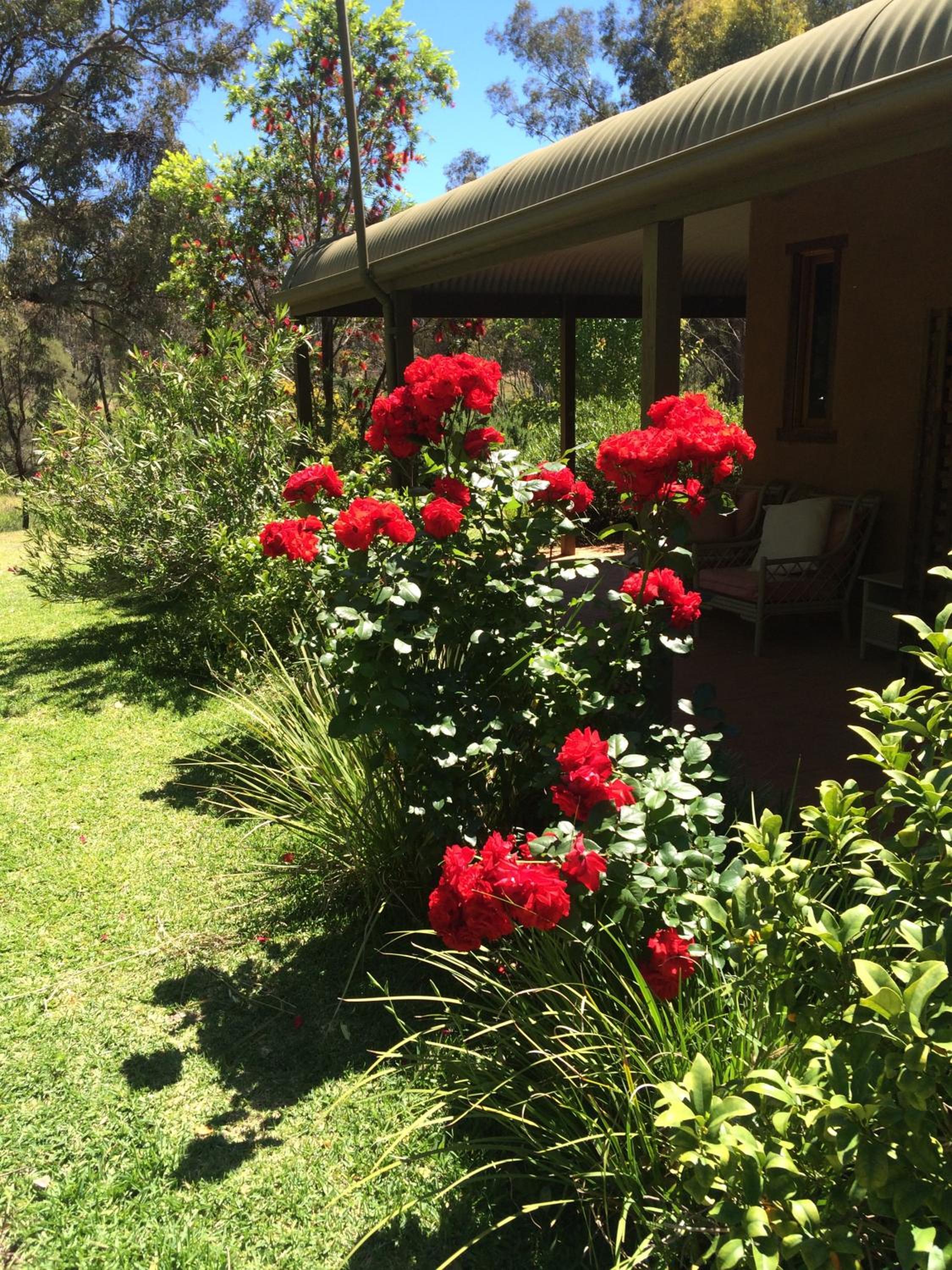 Wildwood Guesthouse