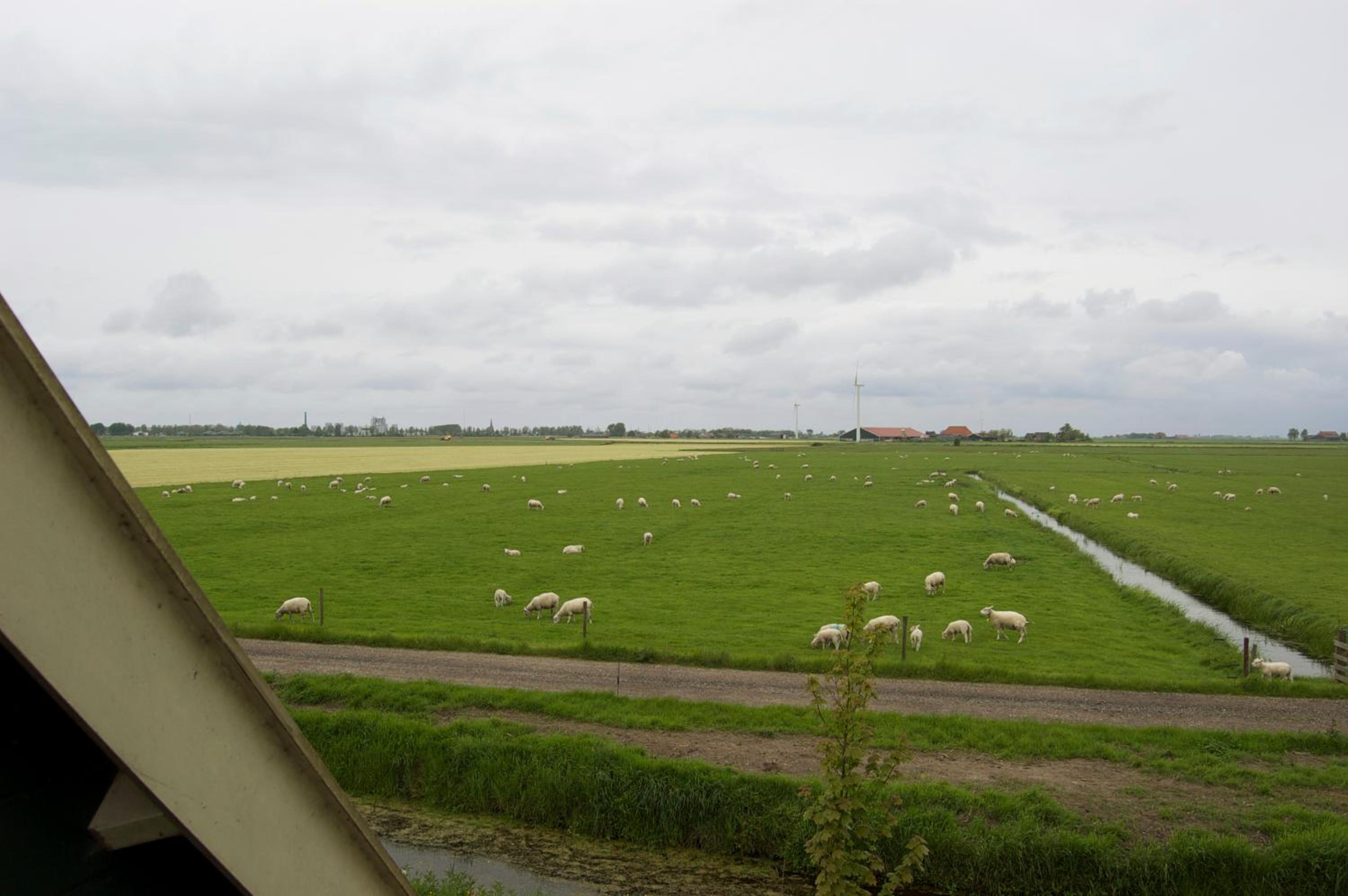 Photo 30