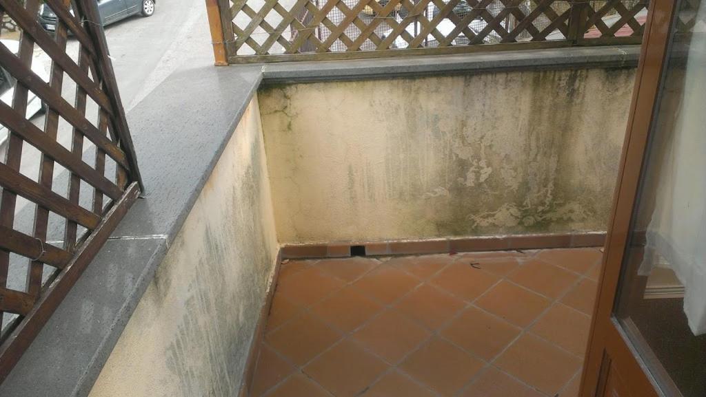DOMINO HOUSE - Il Casale