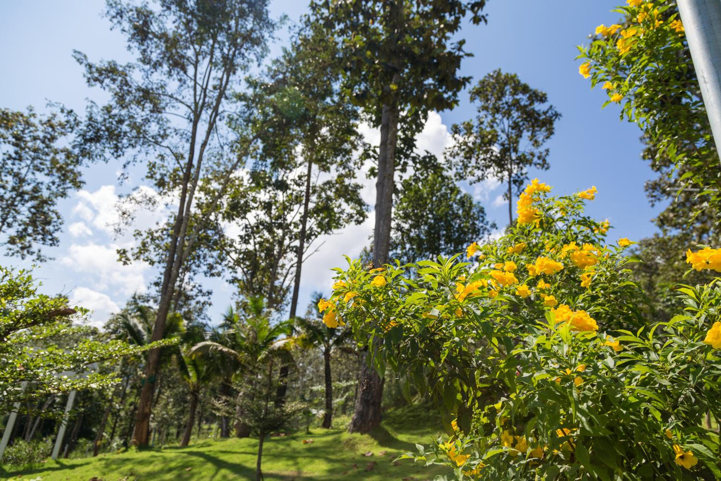 Phu Pha View Doi