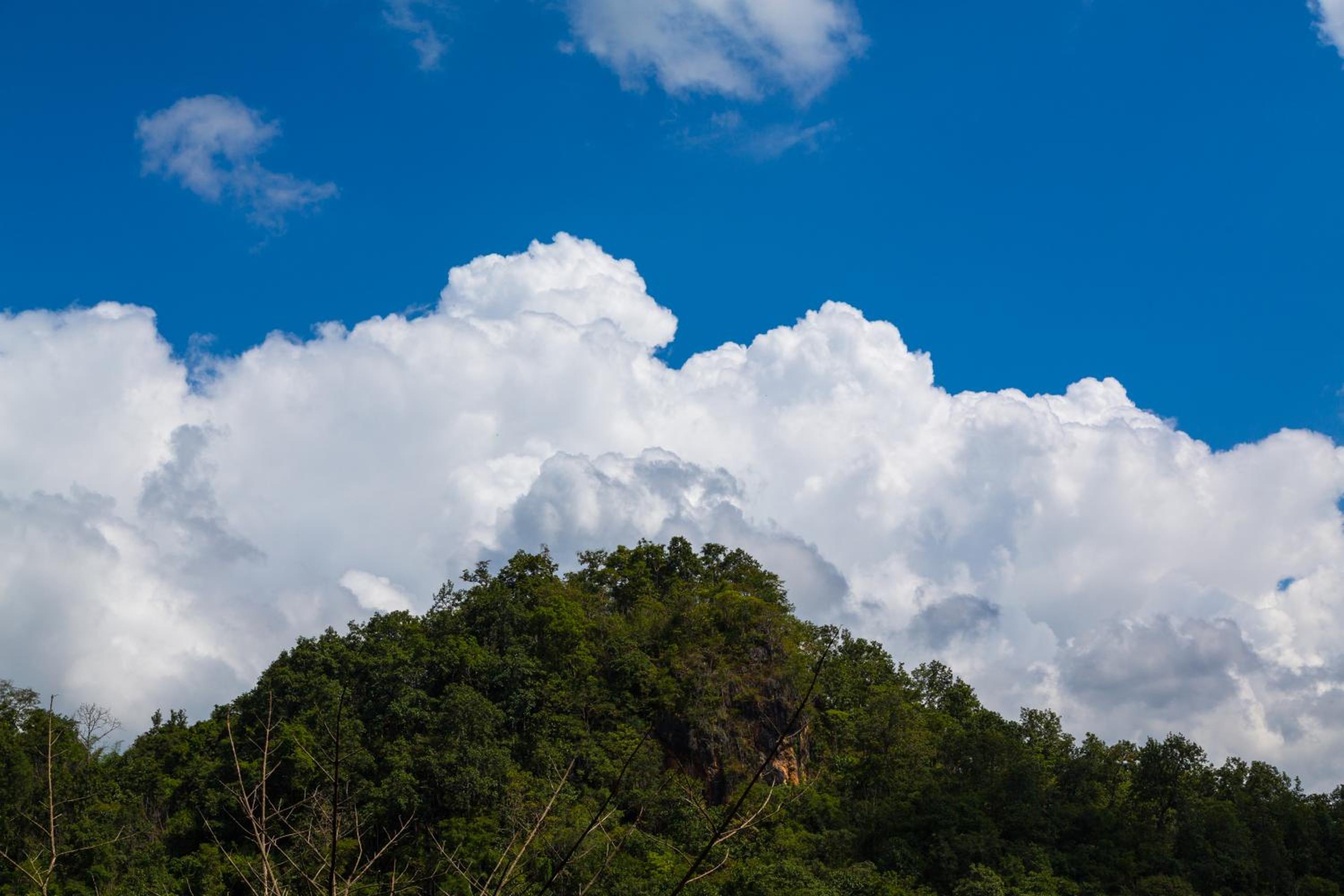 Phu Pha View Doi