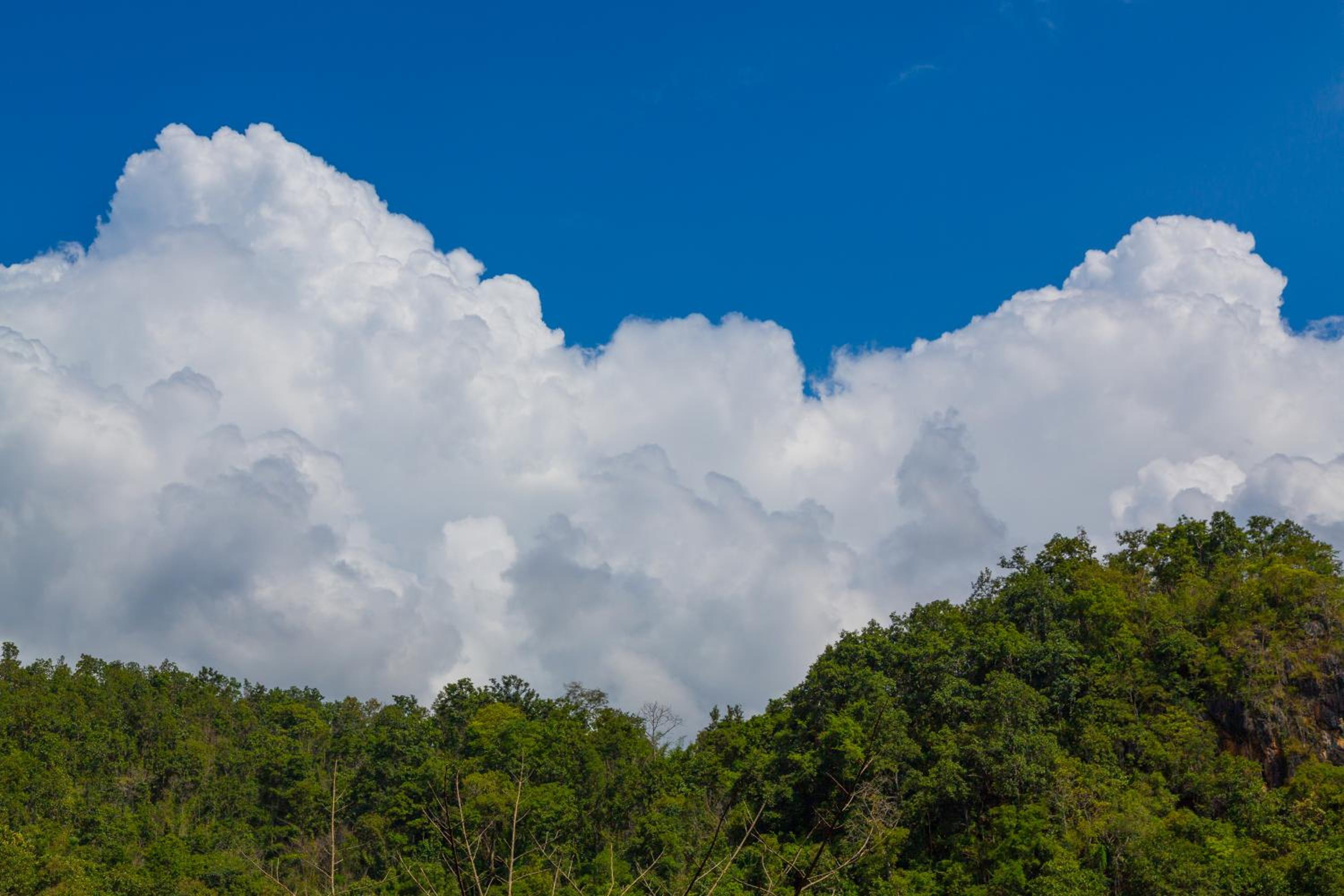 Phu Pha View Doi