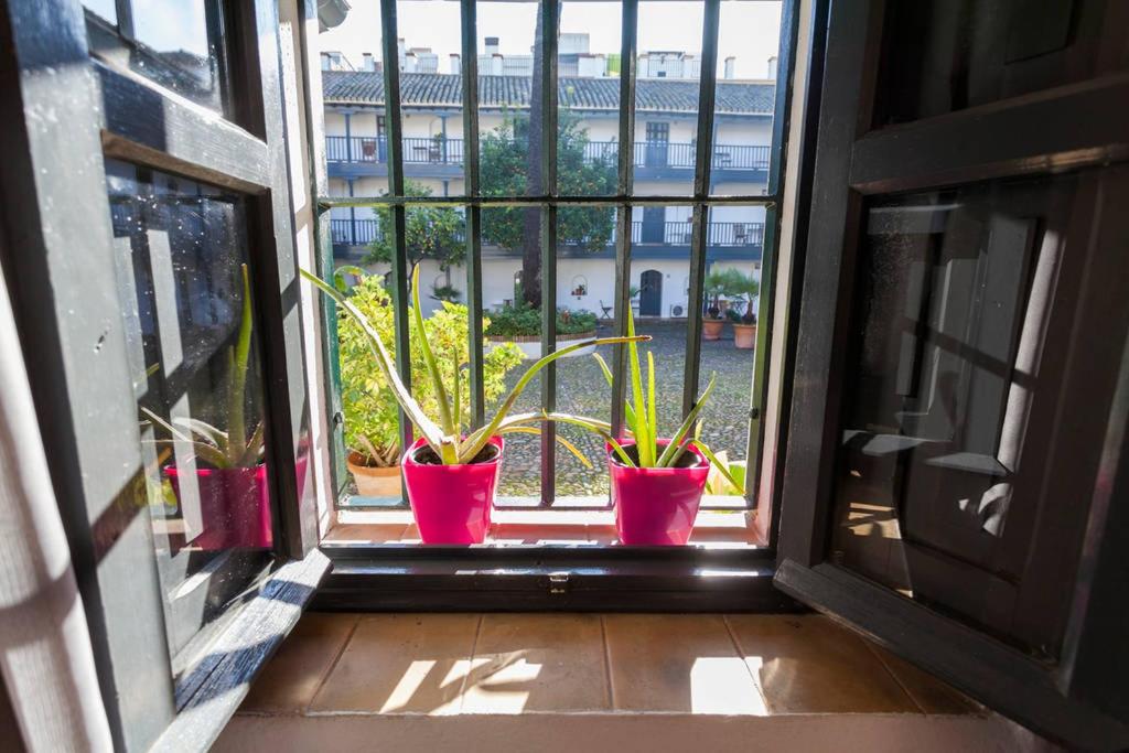 Apartamentos Gadi Corral Siglo XVI