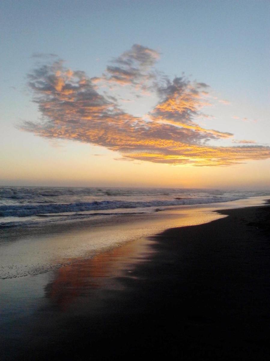 Photo 41