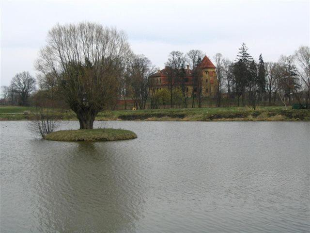 Zamek Dobra view 5