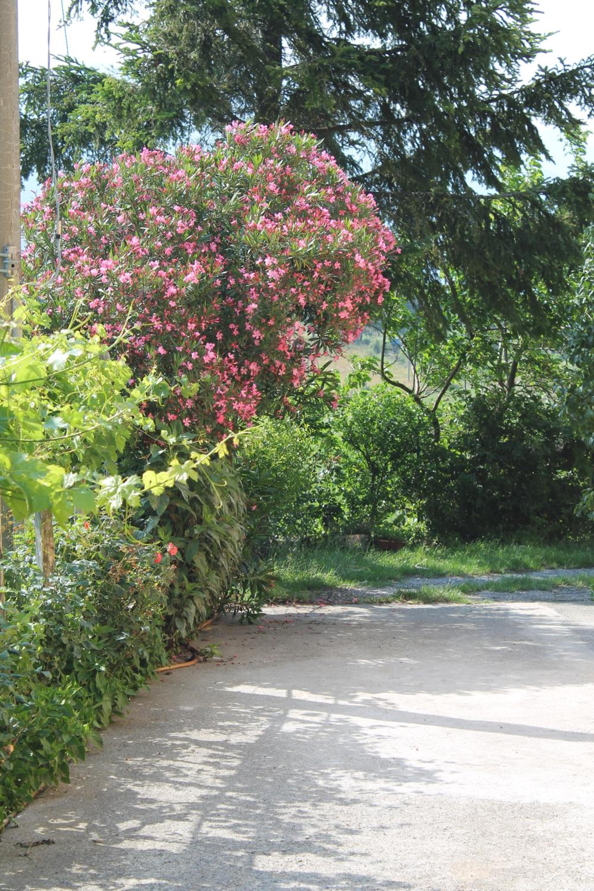 Photo 40