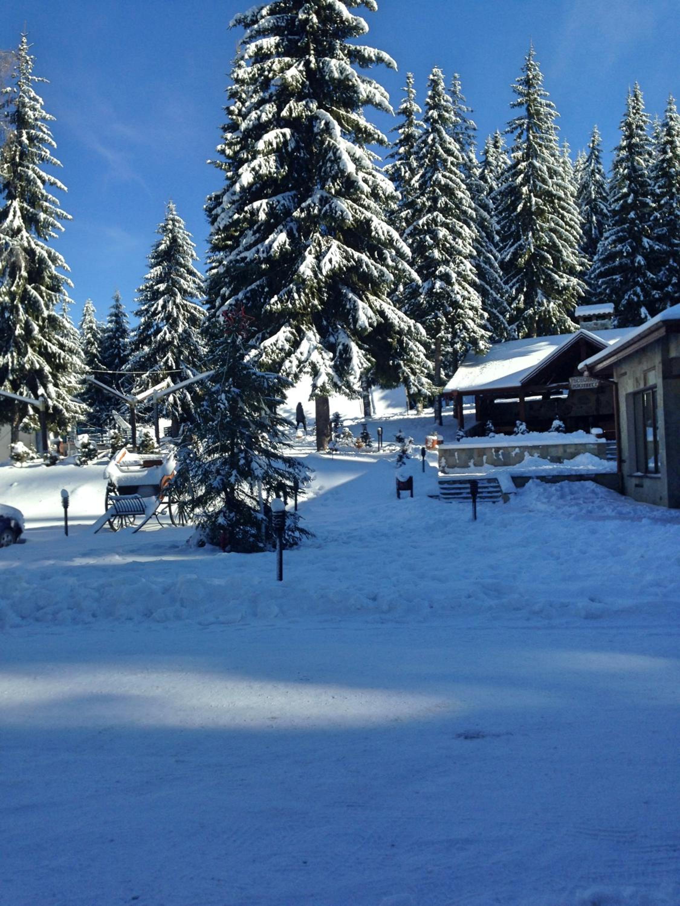 Romantica Forest Guest House