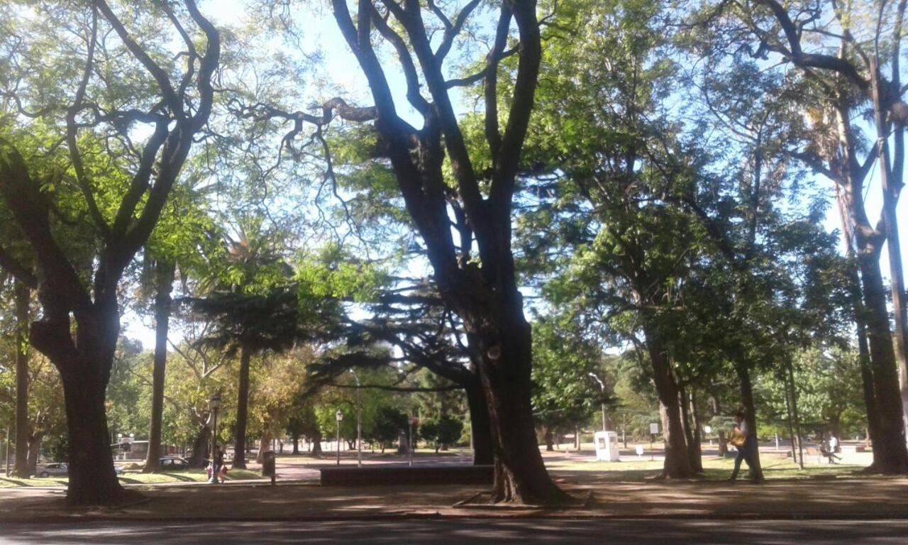 Apartamento Paseo del Lago view 5