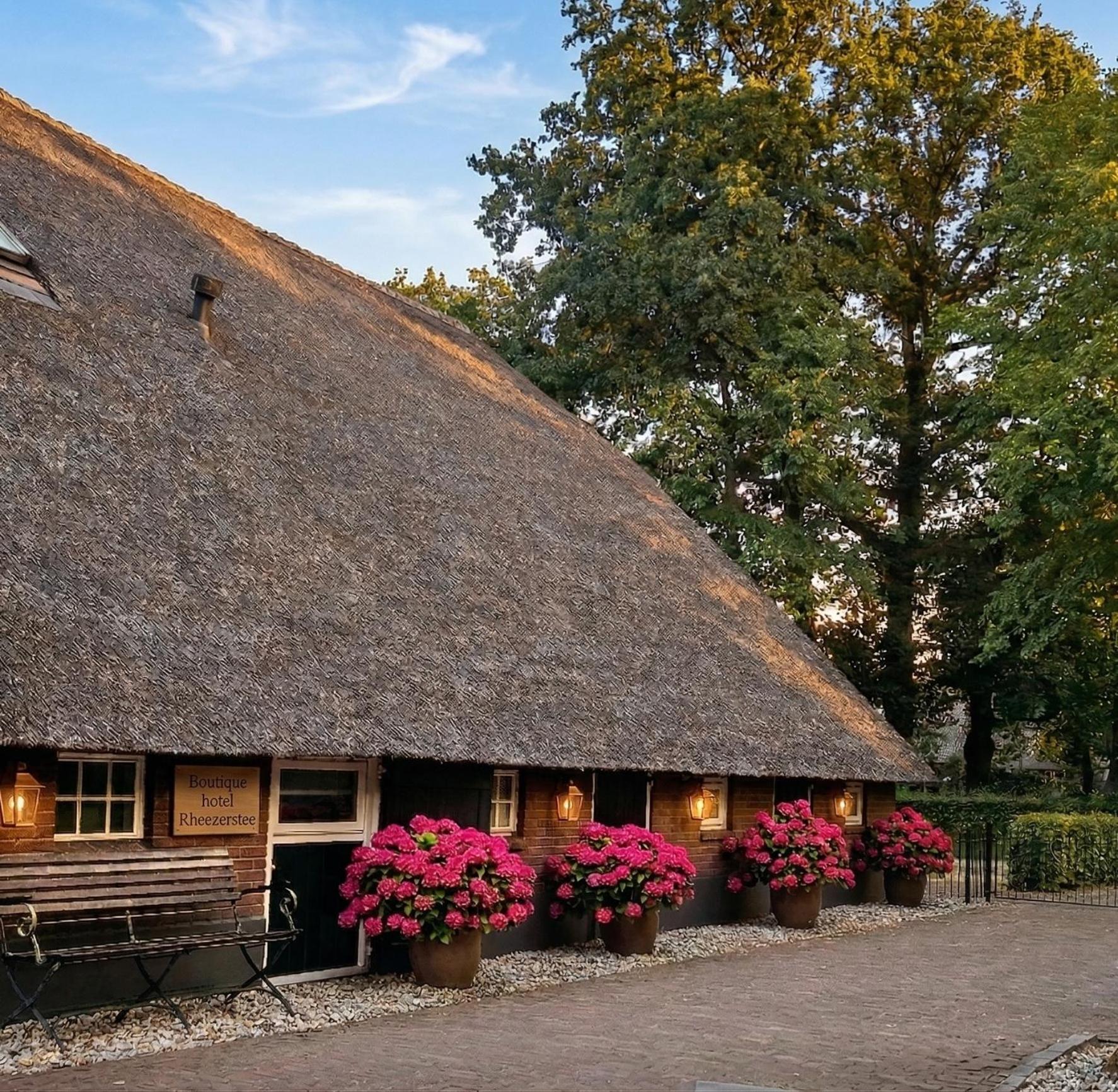 Rheezerstee, photo 50
