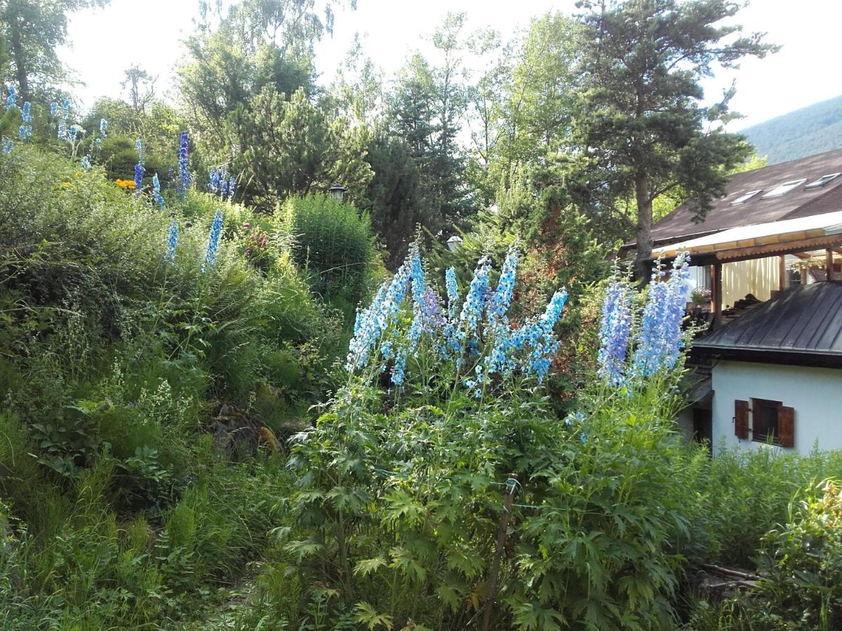 Photo 36