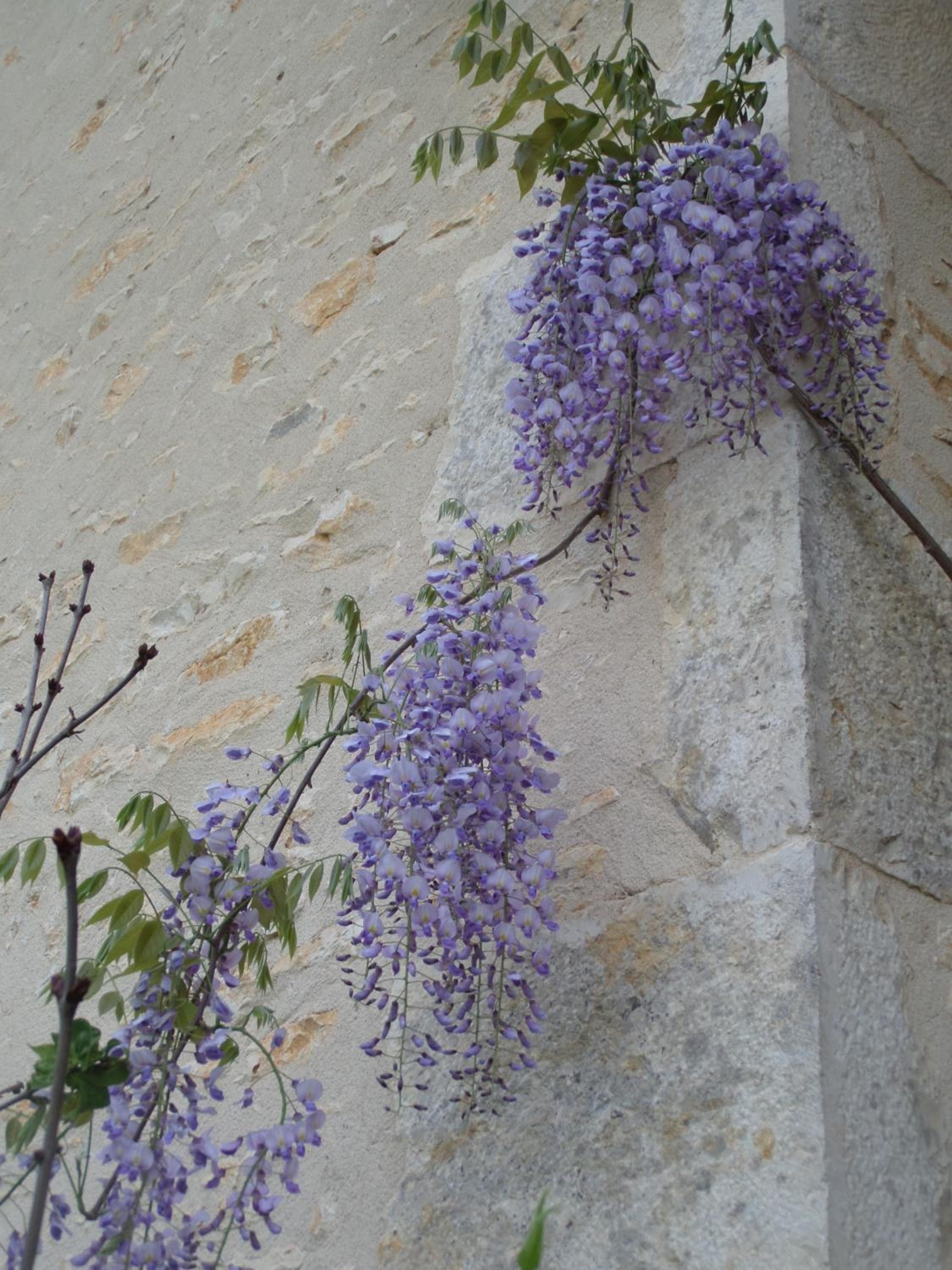 Photo 40