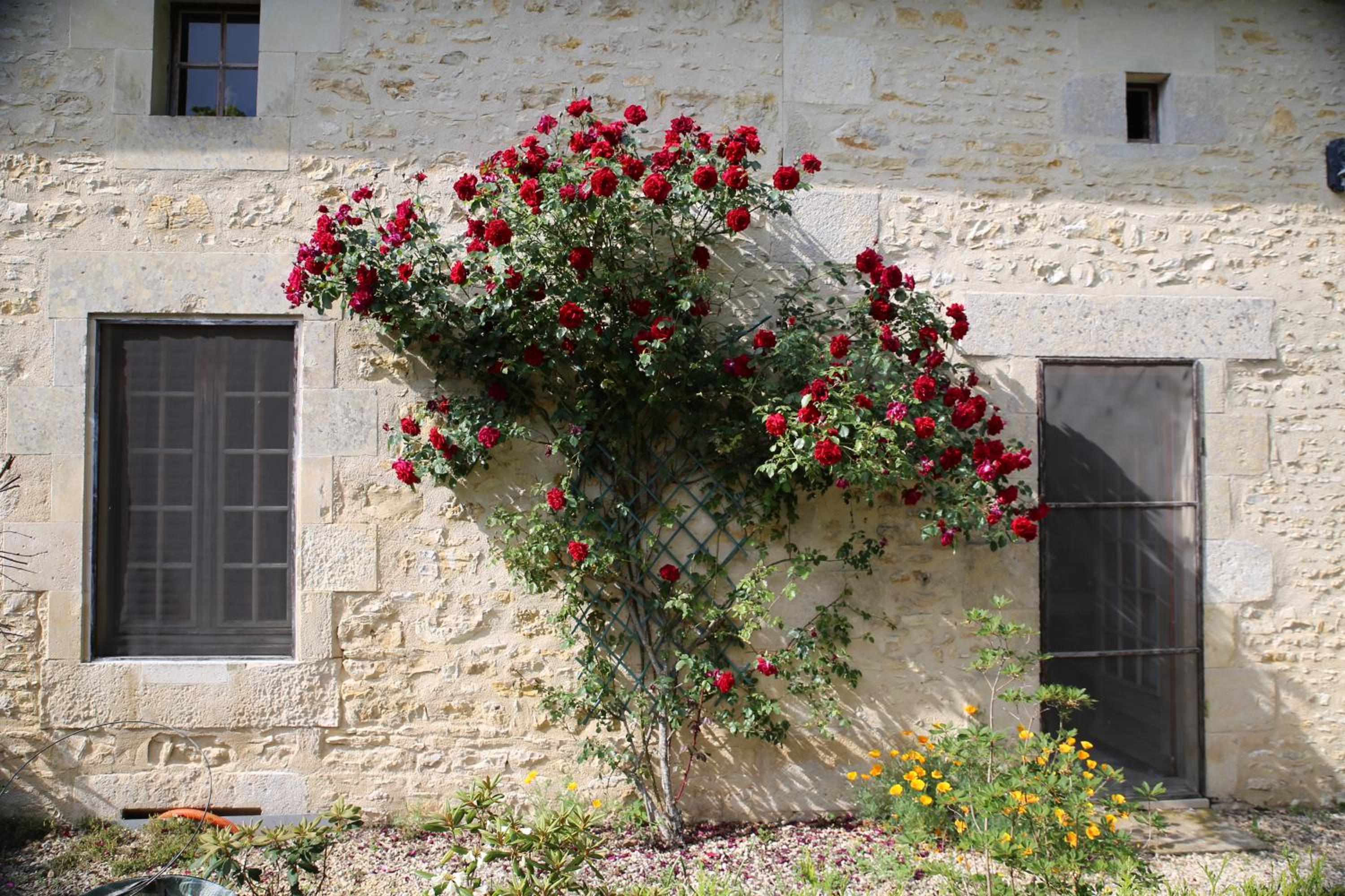 Photo 47
