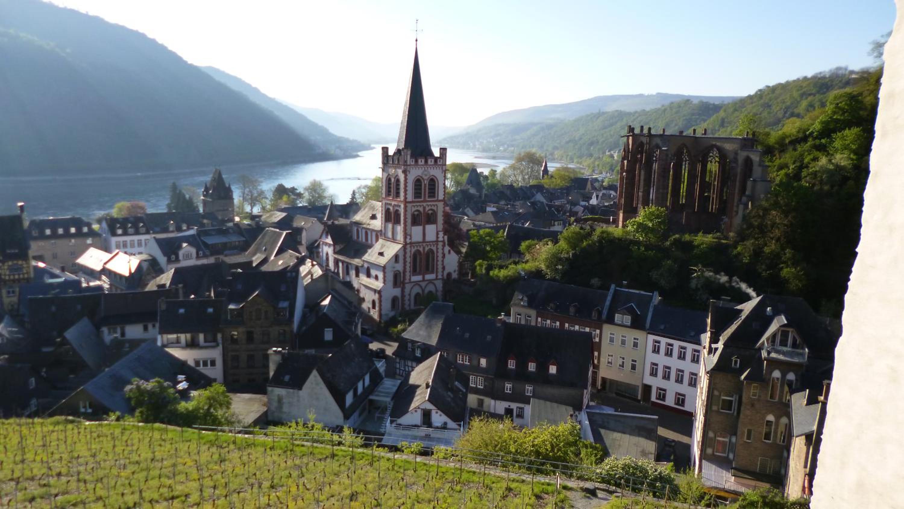 Gästehaus Rheinromantik view 4