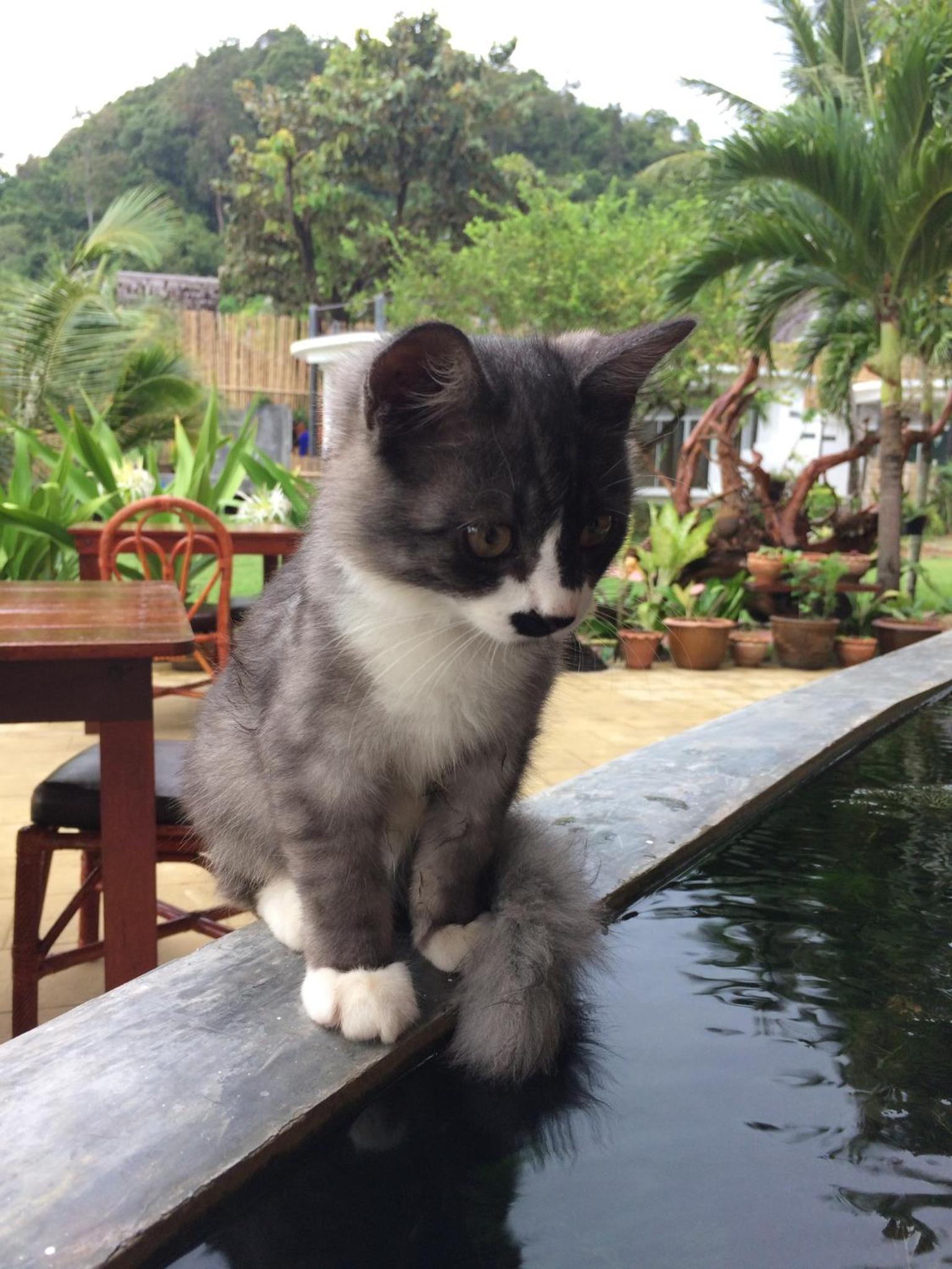 Yao Yai Beach Resort
