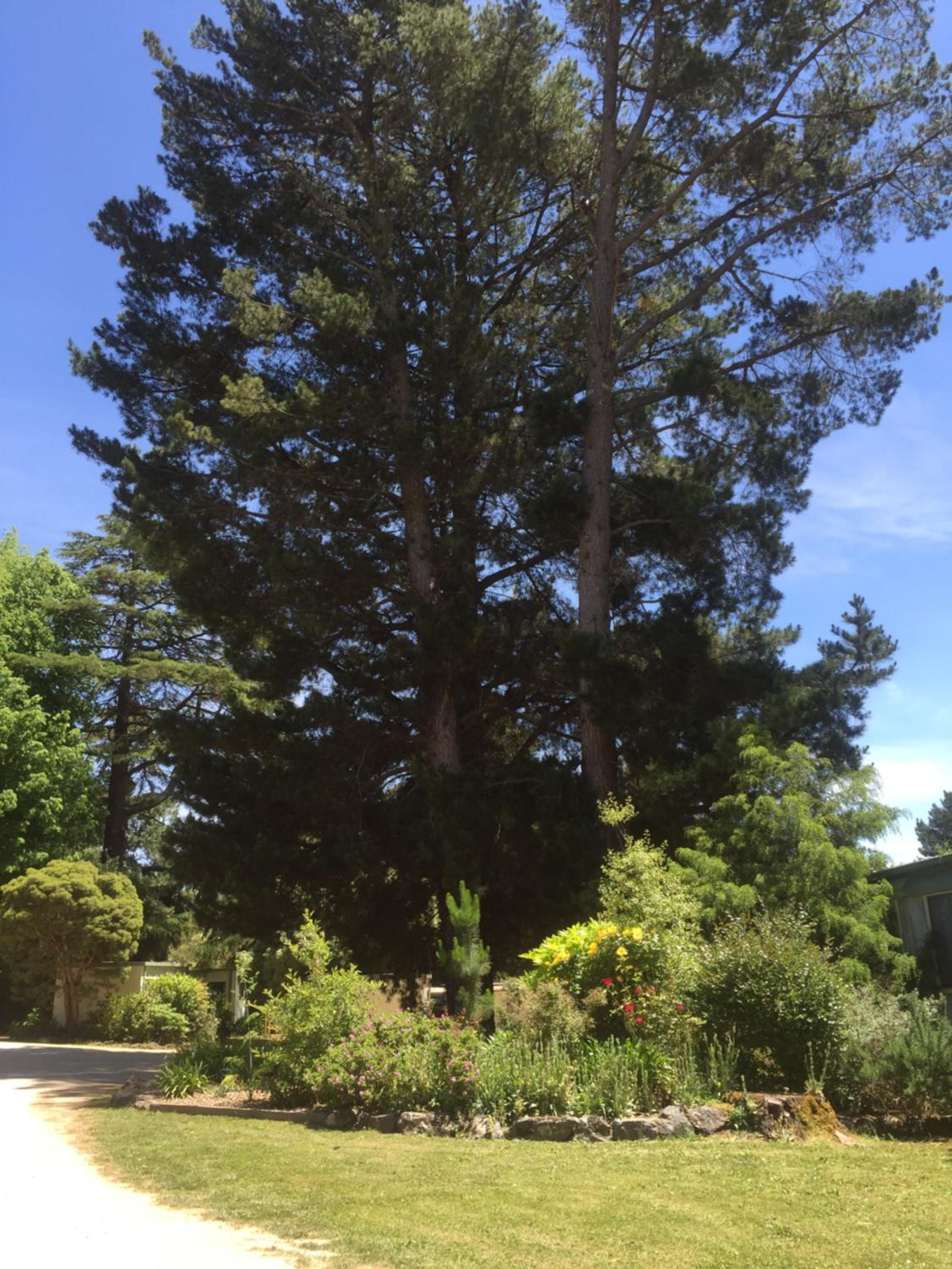 Daylesford Holiday Park