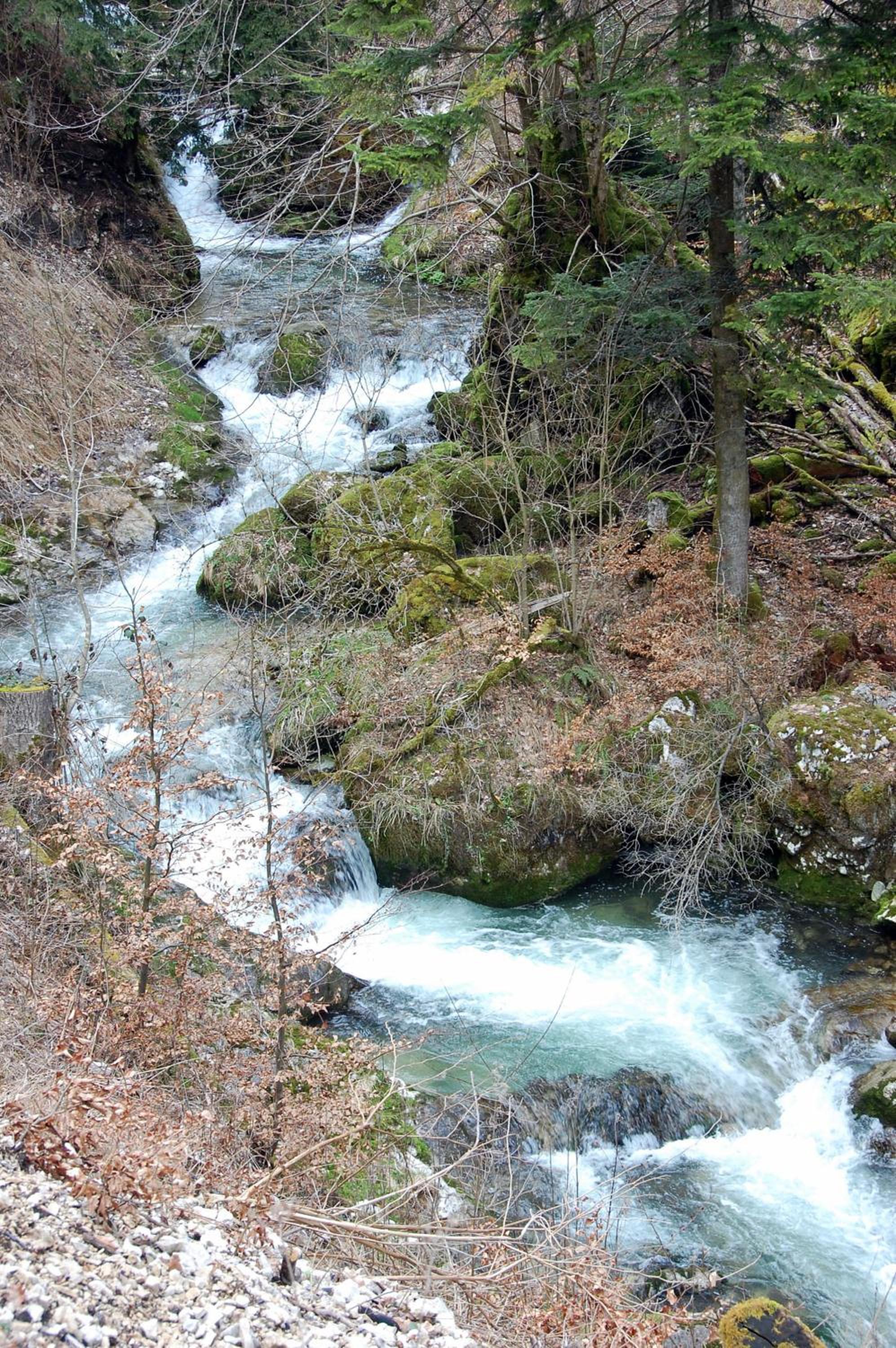 Photo 48