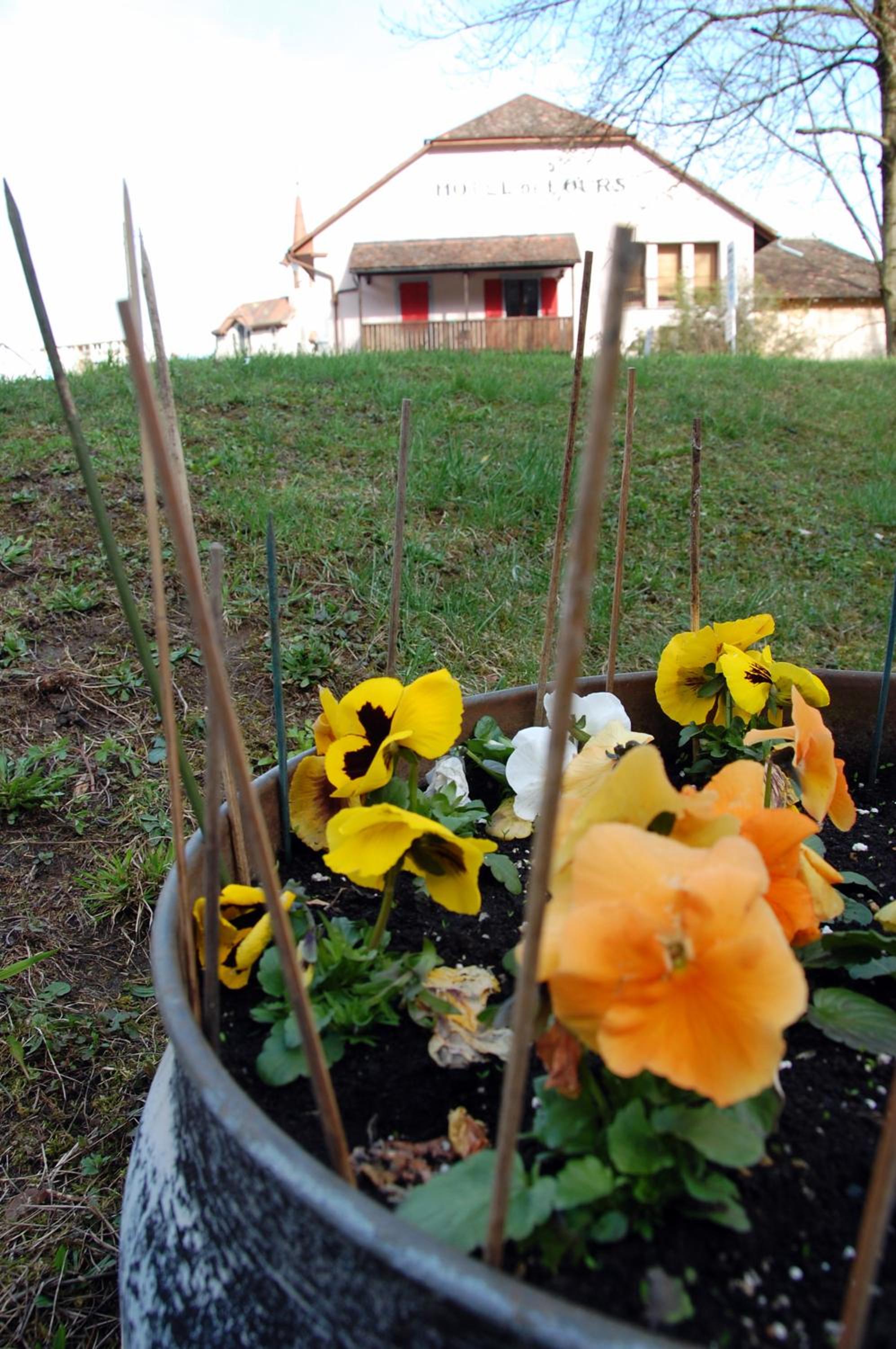 Photo 19