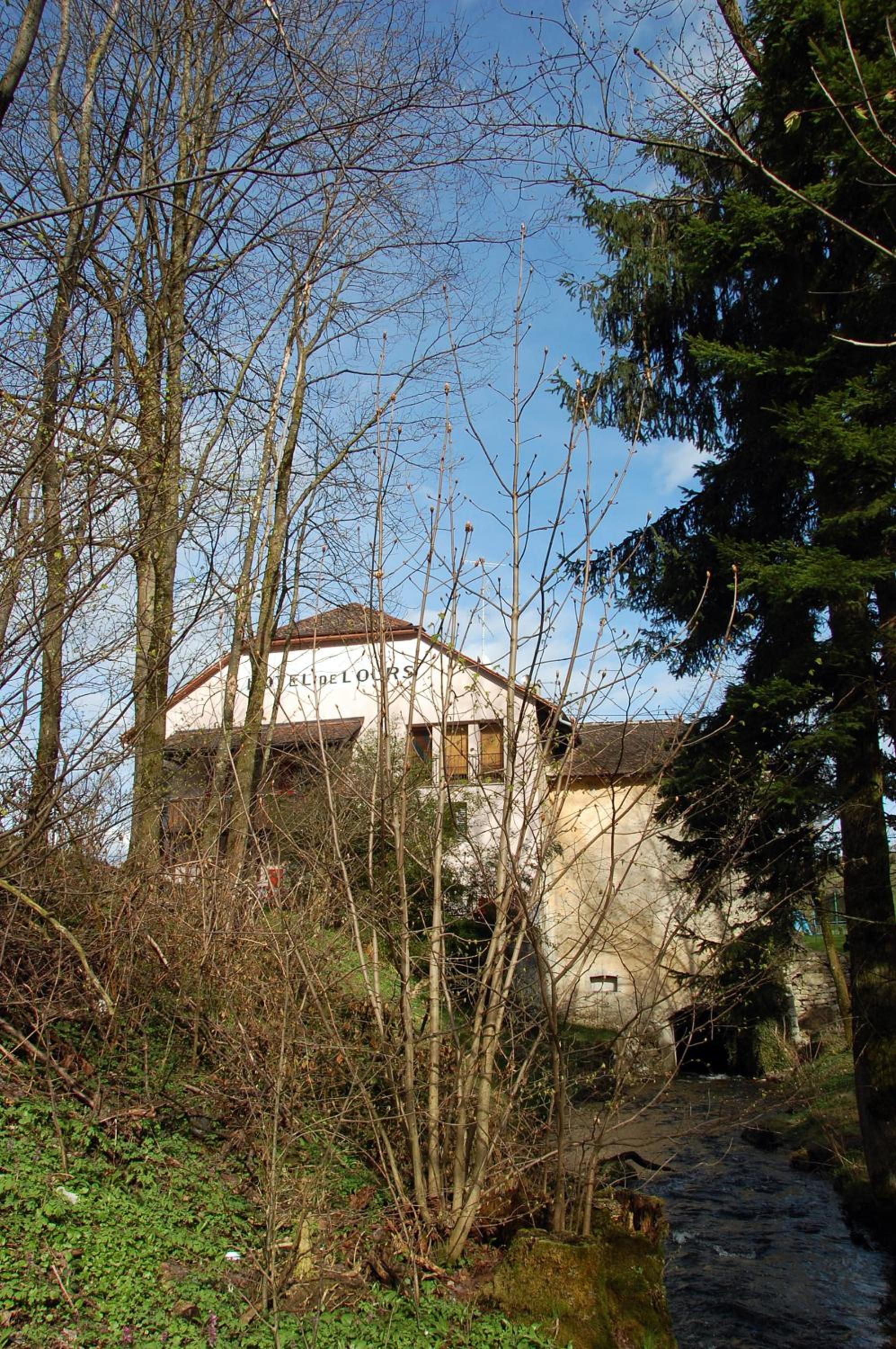 Photo 21
