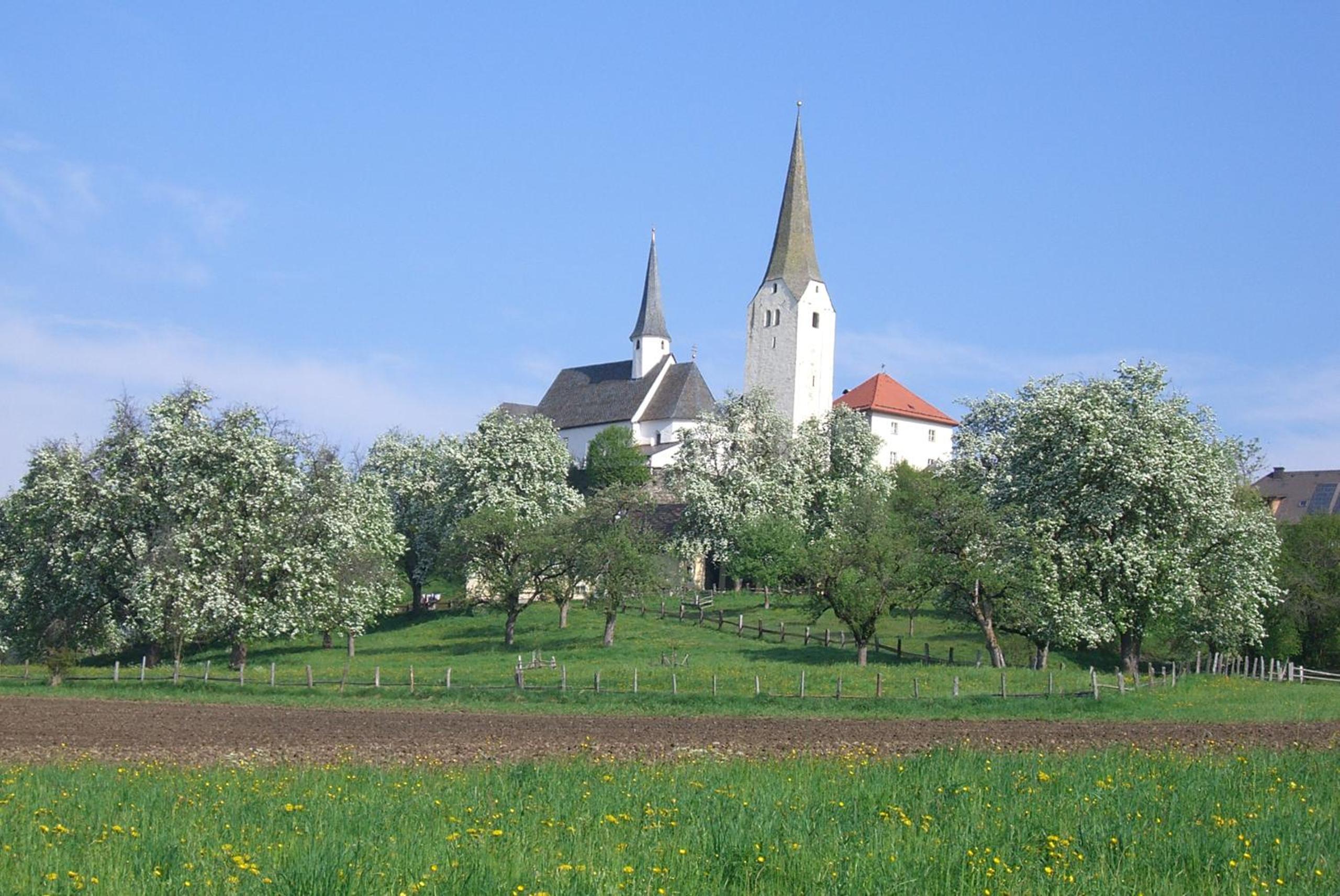 Photo 32